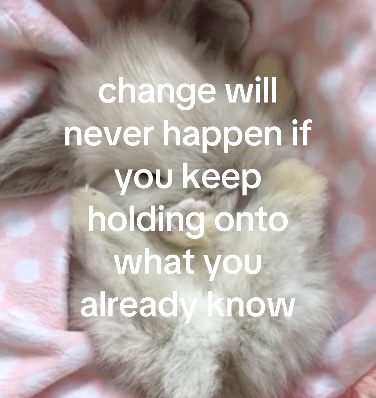 @♡