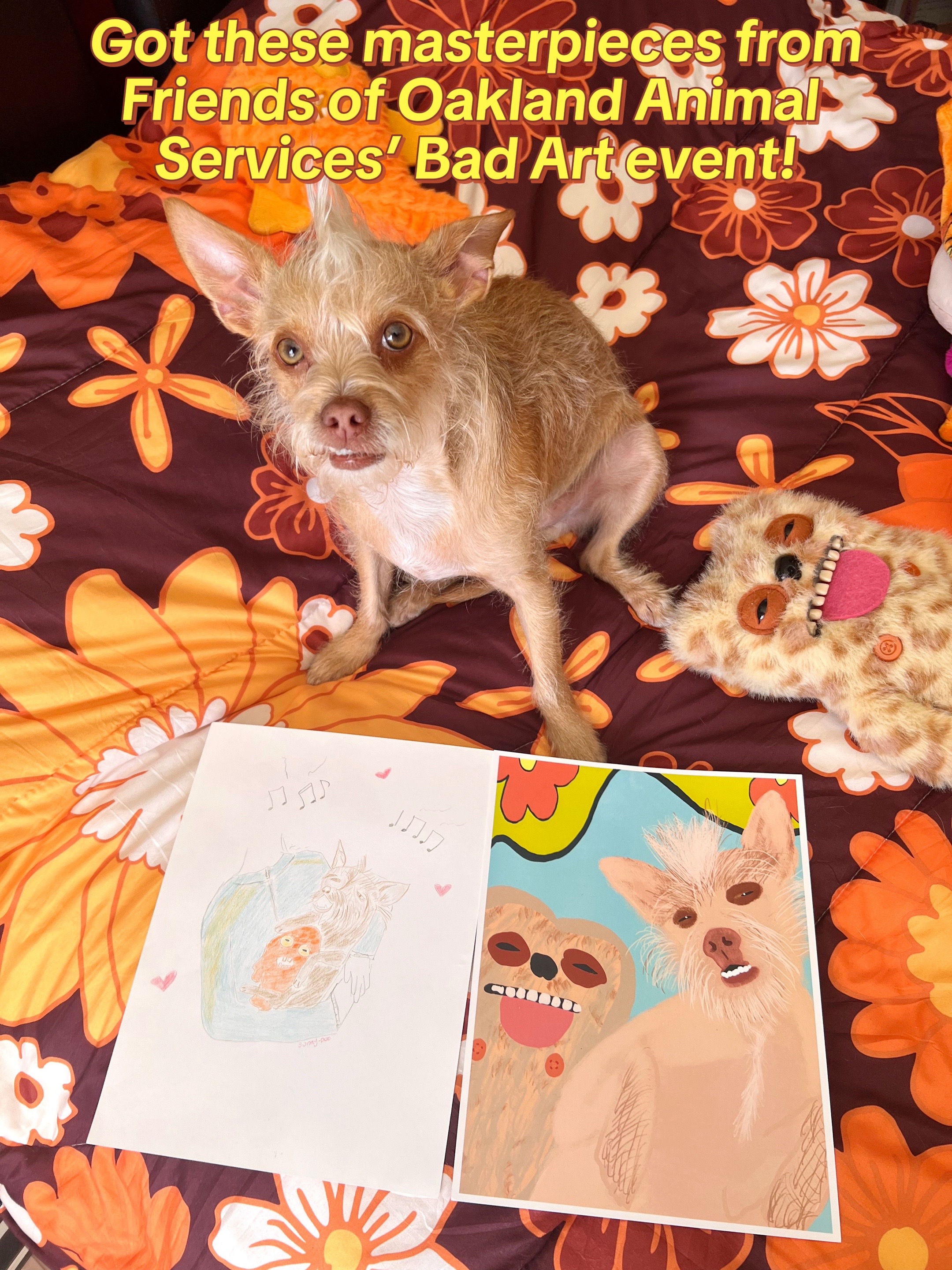 @What’s New Sunny-Doo?