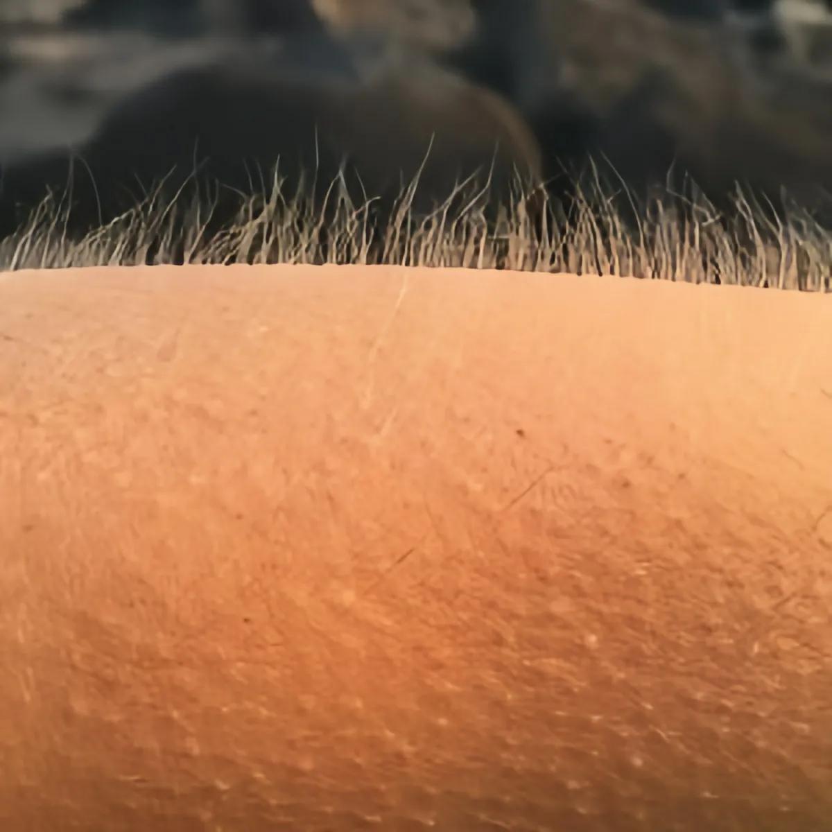 @goodmusic