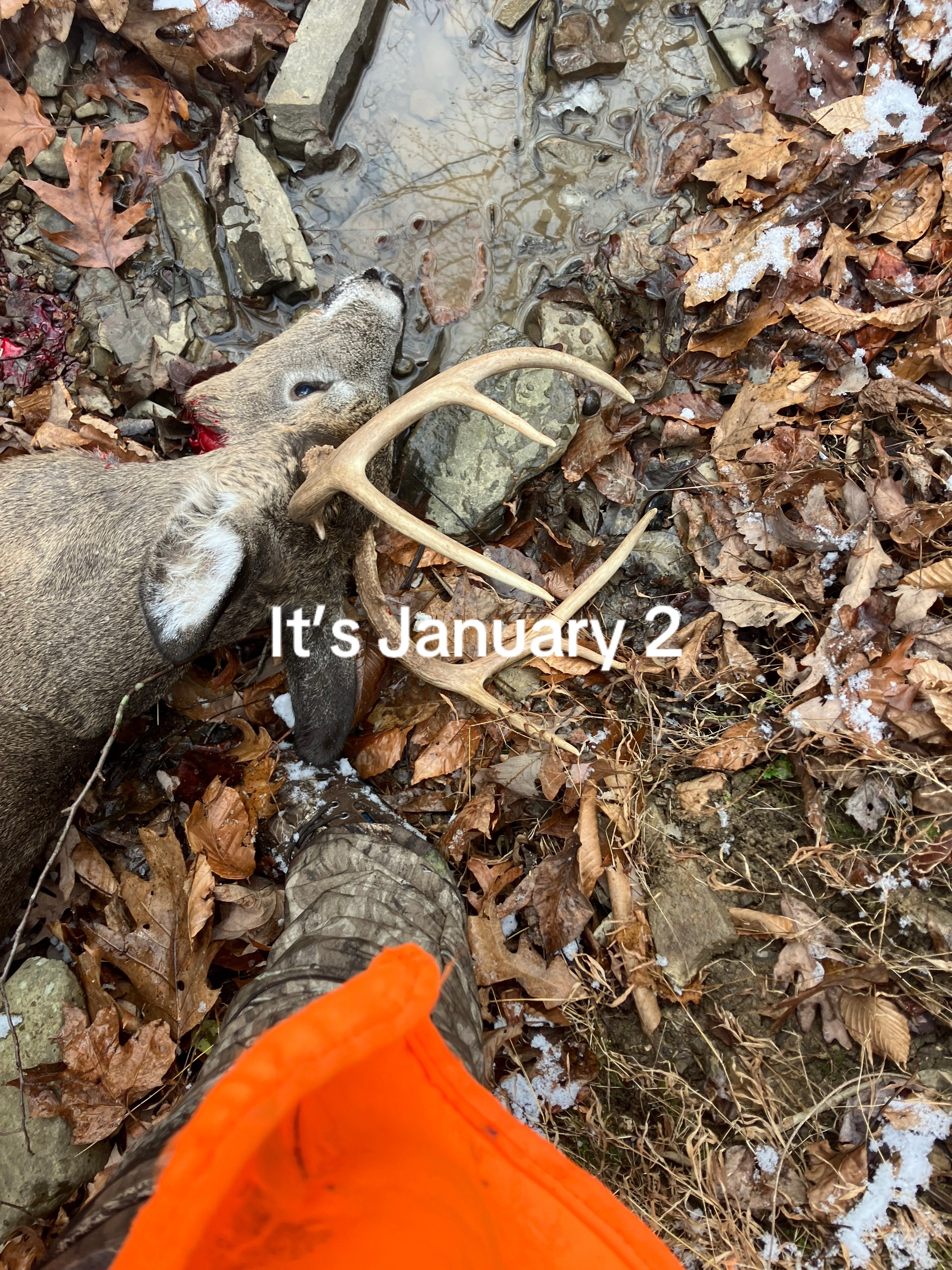 @🦌🦆✝️-Noah-✝️🦆🦌