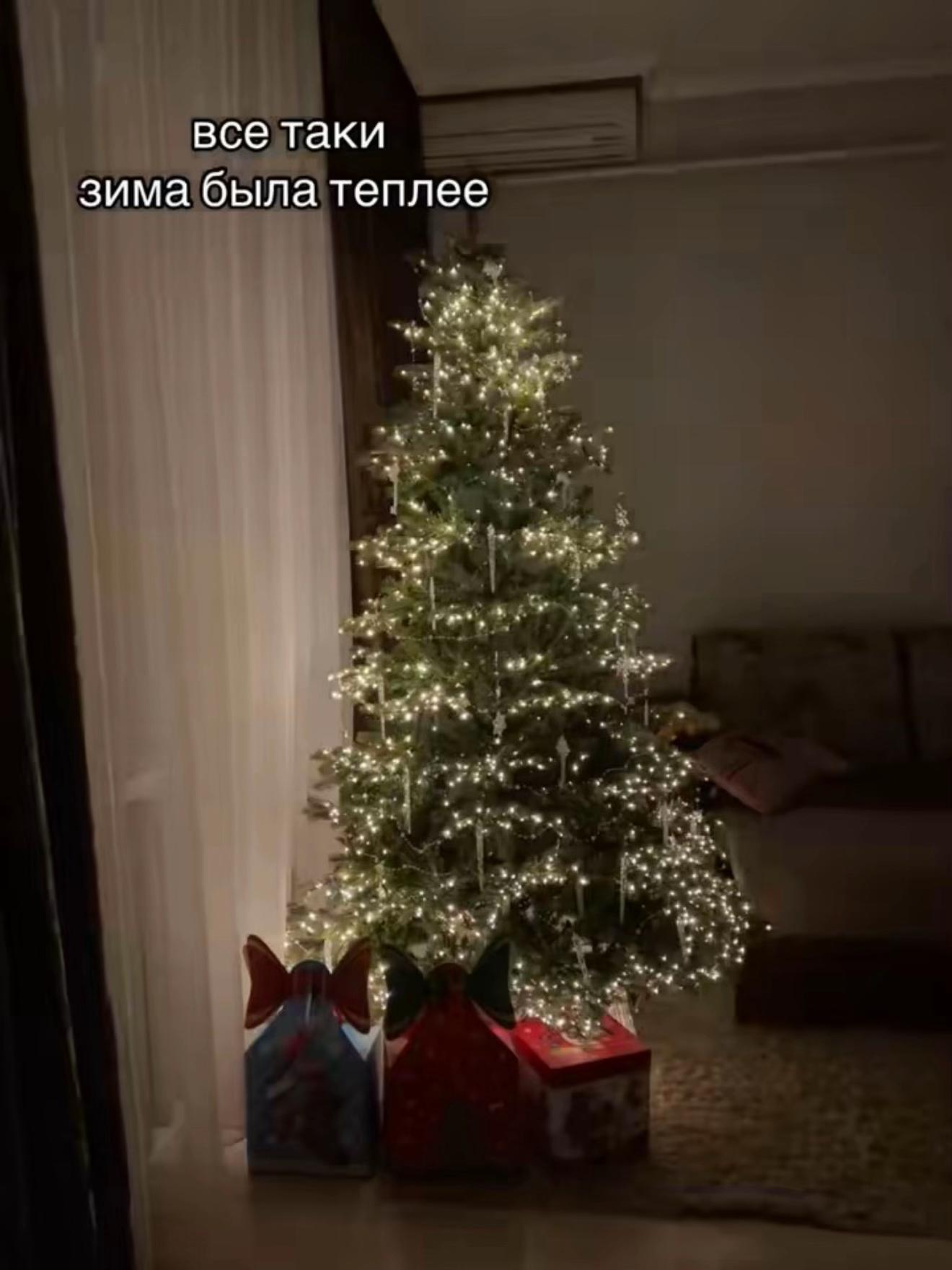 @apolli_inaria