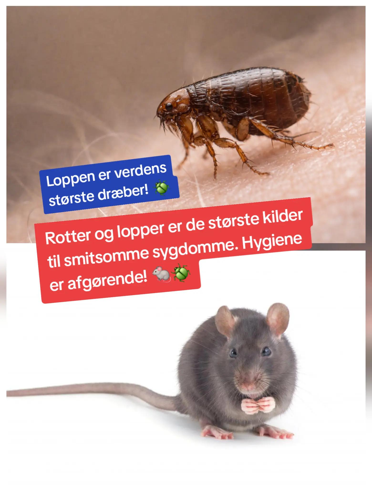 @John Erik Wagner