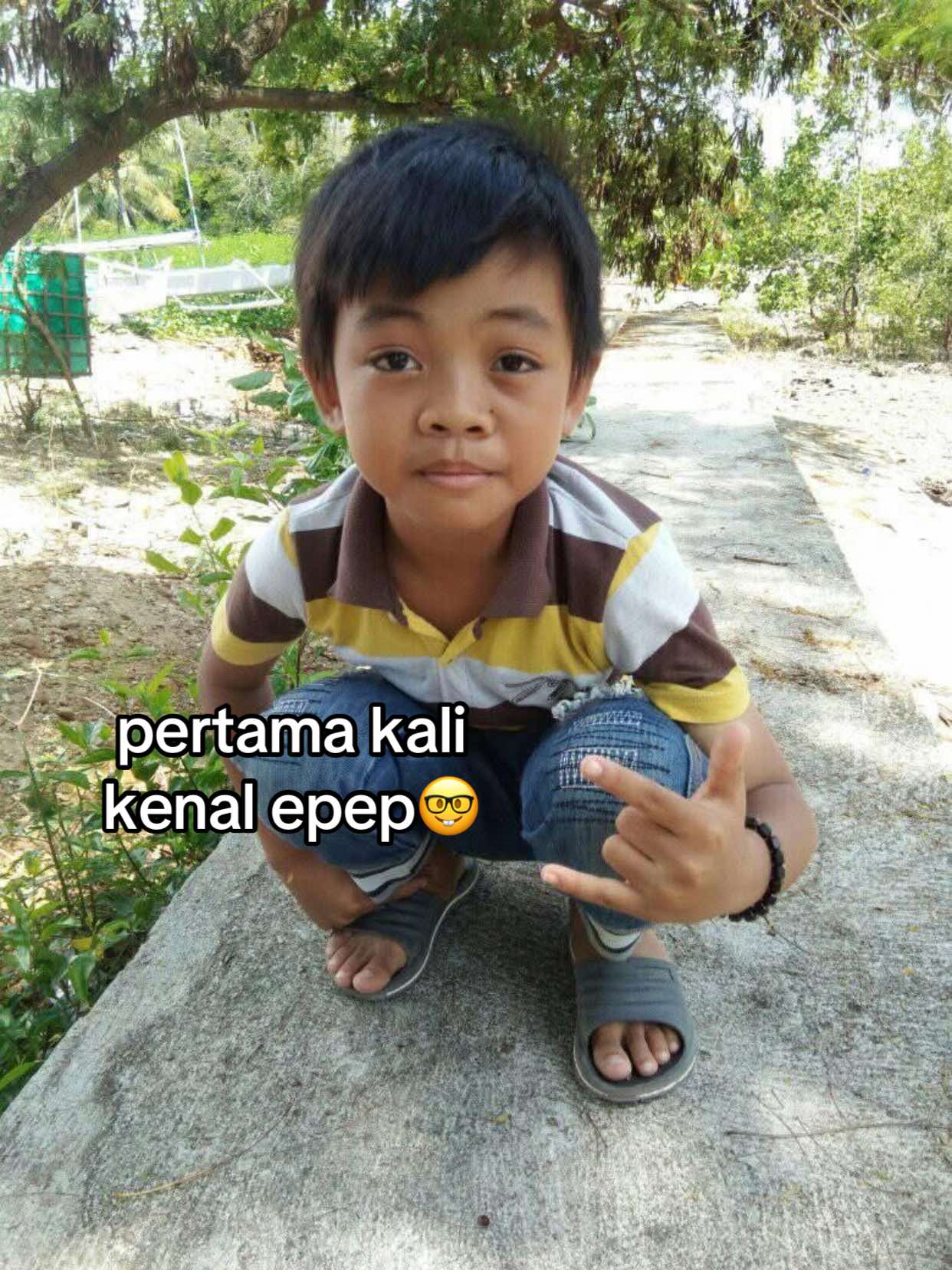 @verd🦤