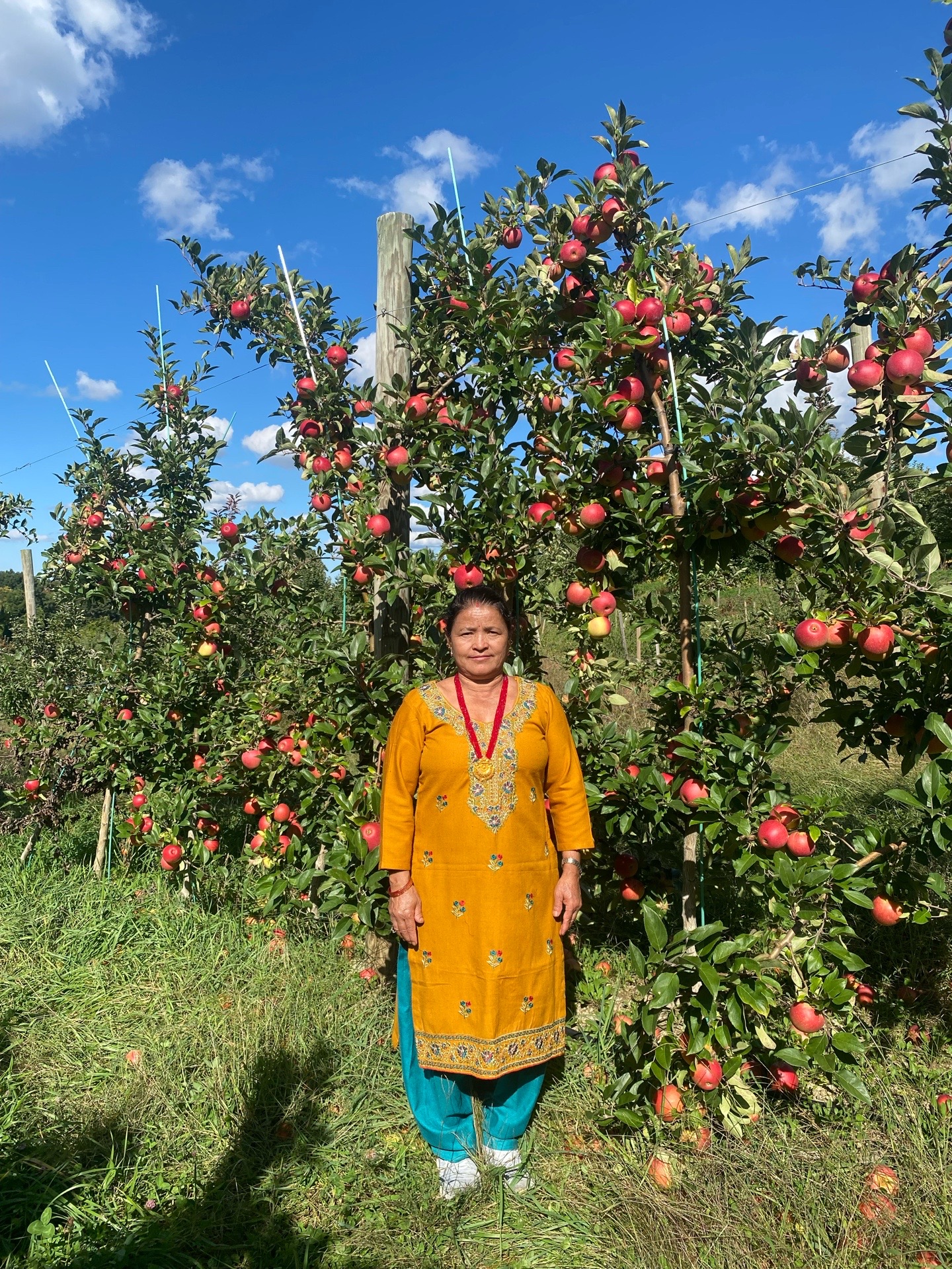 @tulasishrestha66