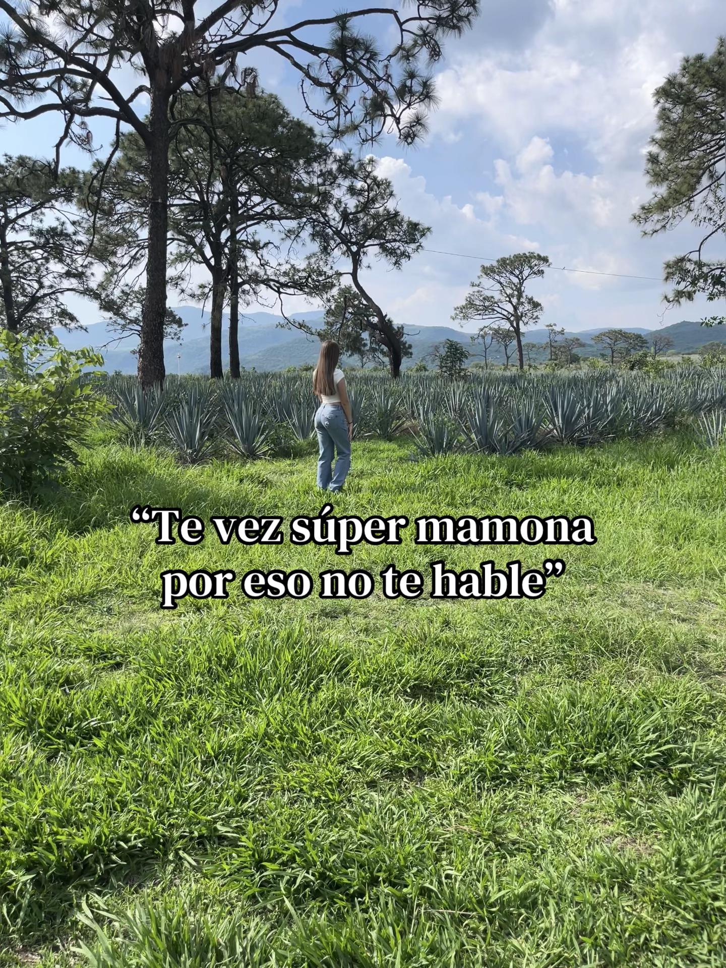 @Alexa Camila