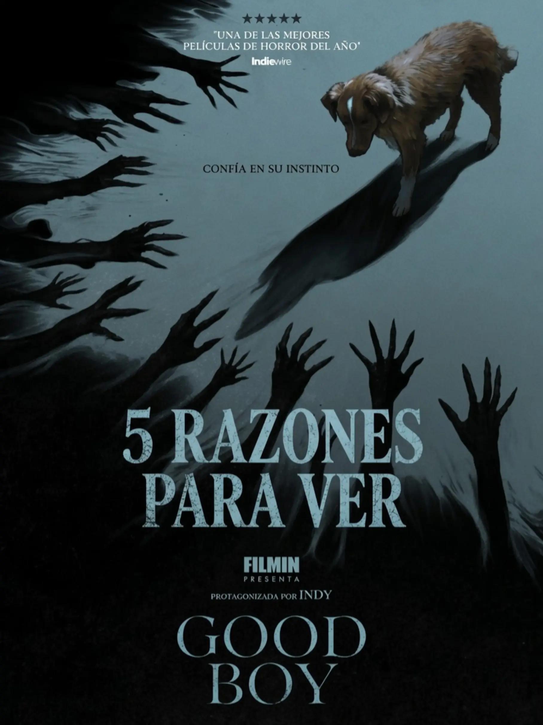 @El Gordito Cinéfilo