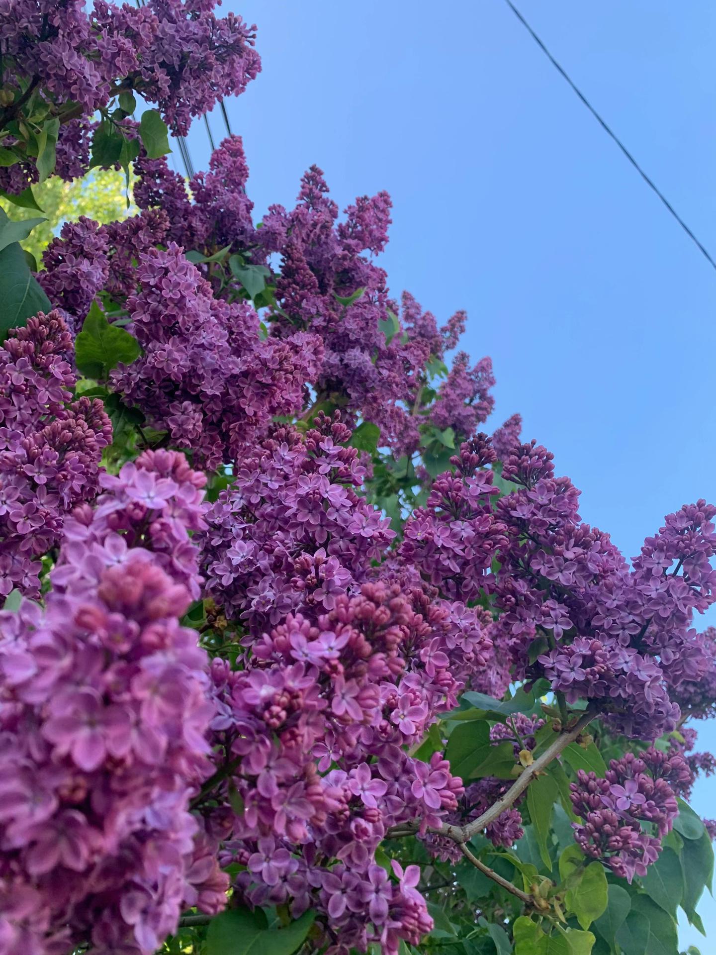 @Ксюнчик ྀི