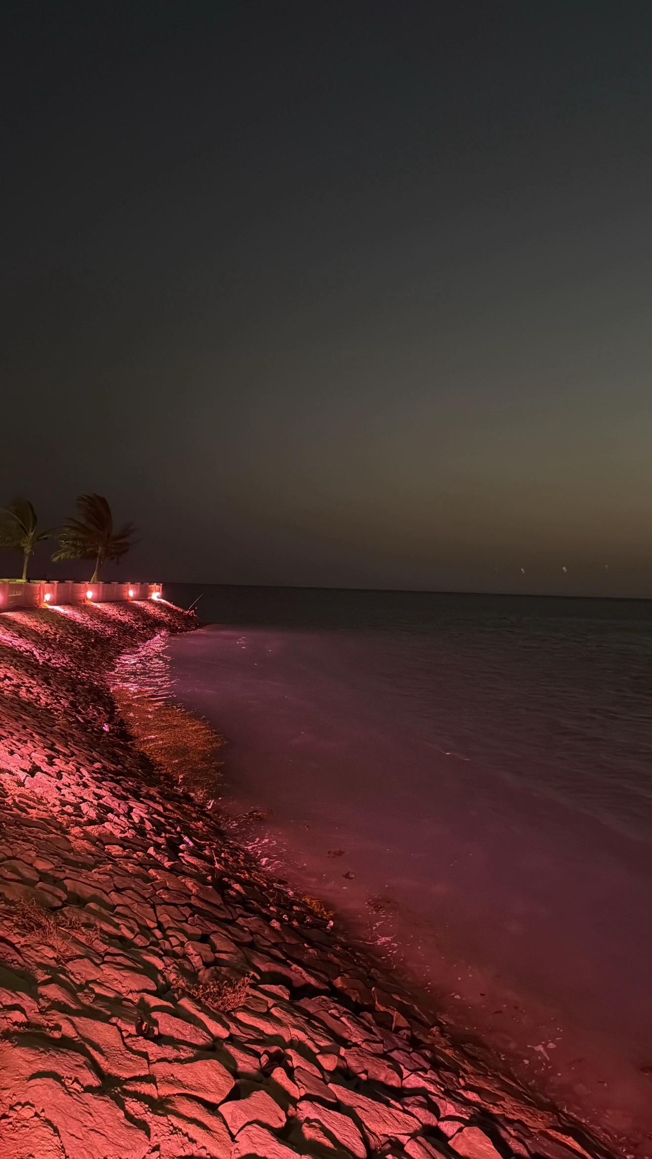 @رغـد
