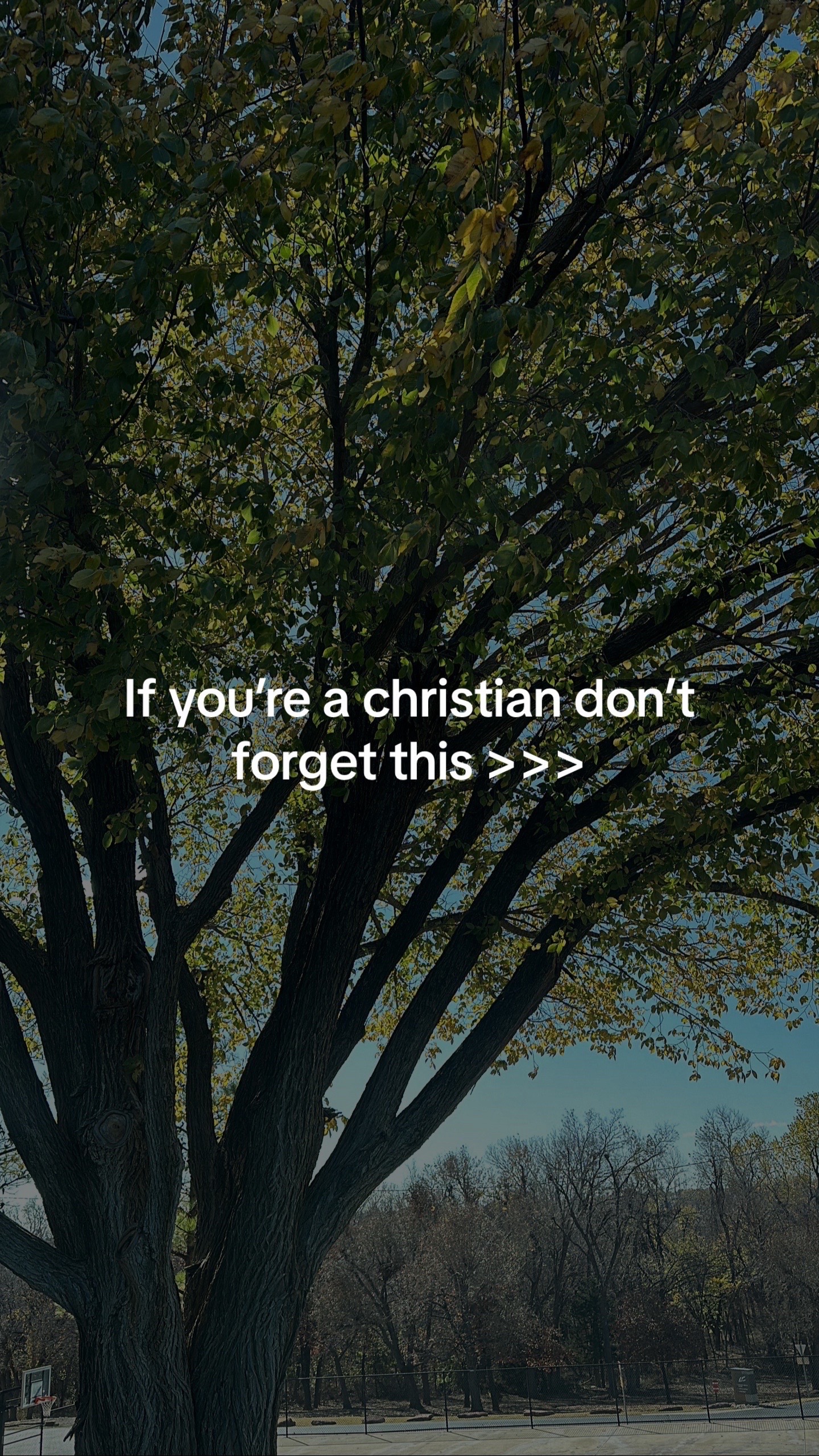 @Craig Groeschel