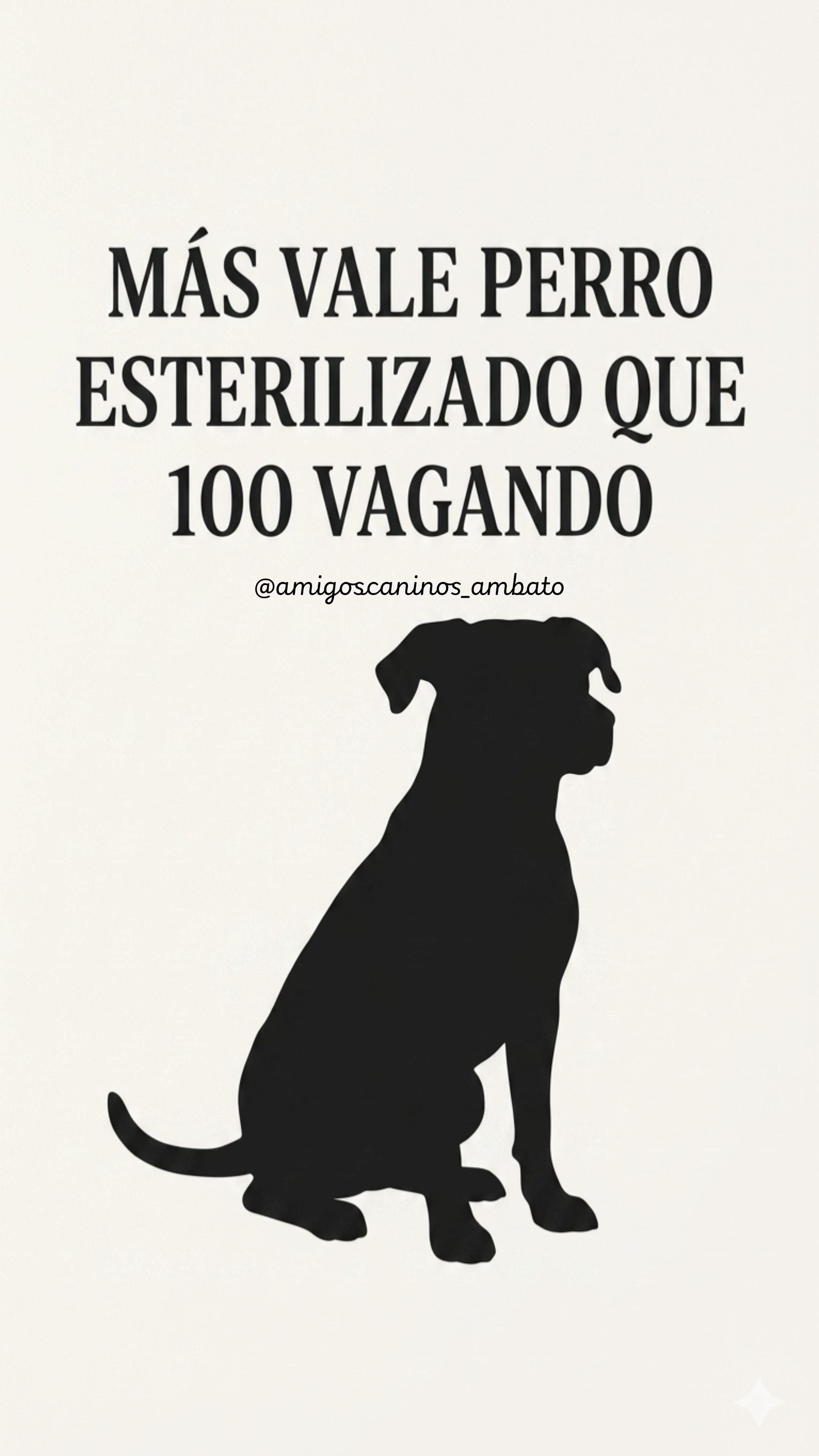 @Amigoscaninos_Ambato