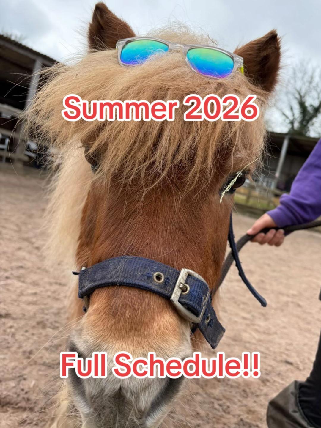 @Moor Farm Stables