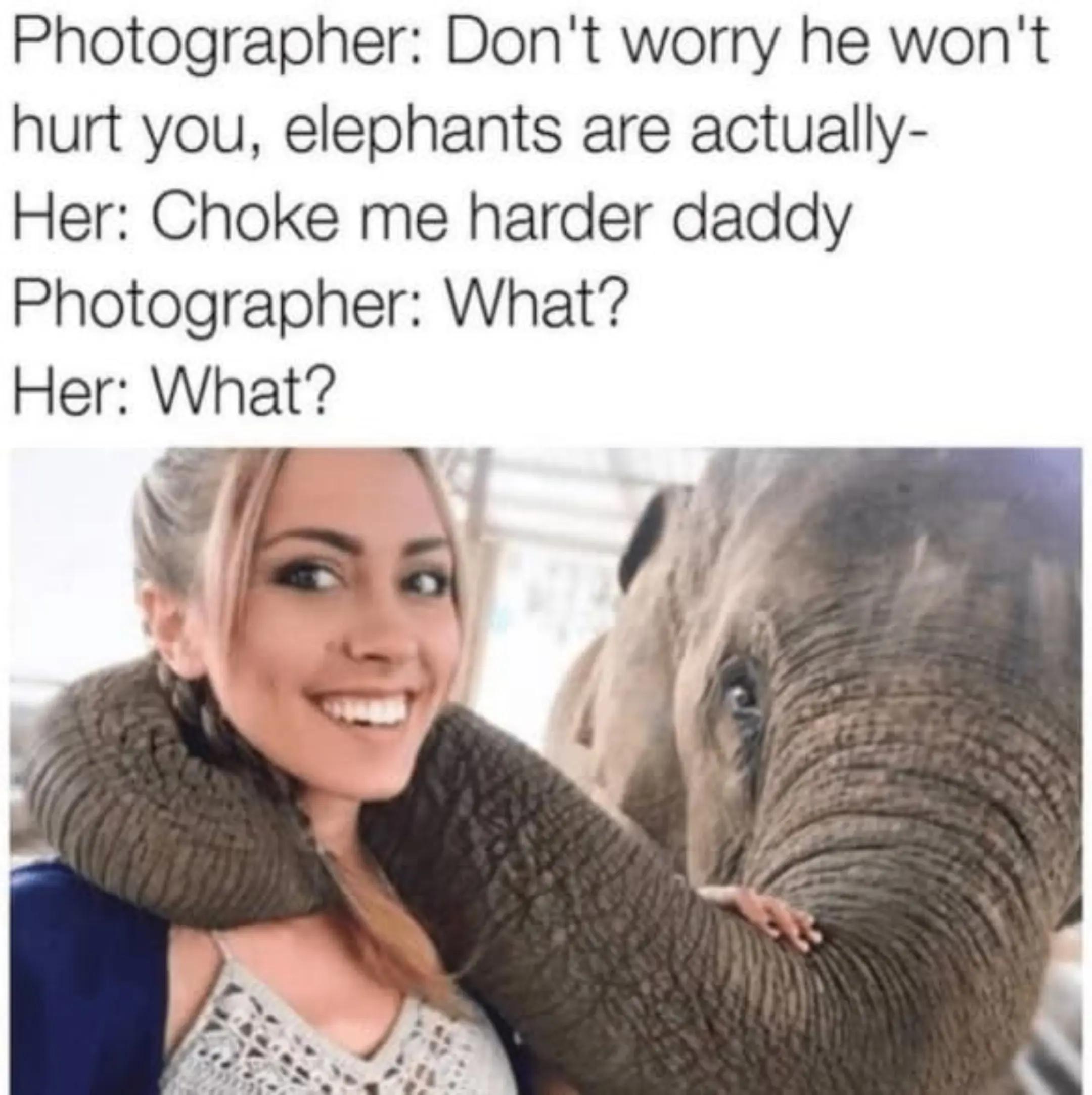 @mr and Mrs t