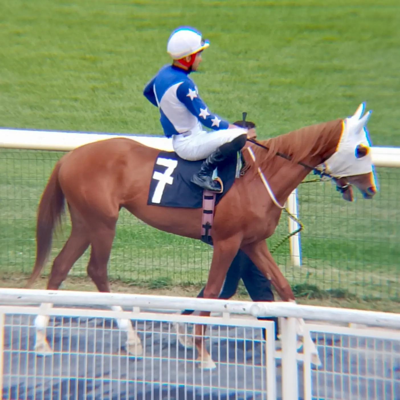 @brs horse racing