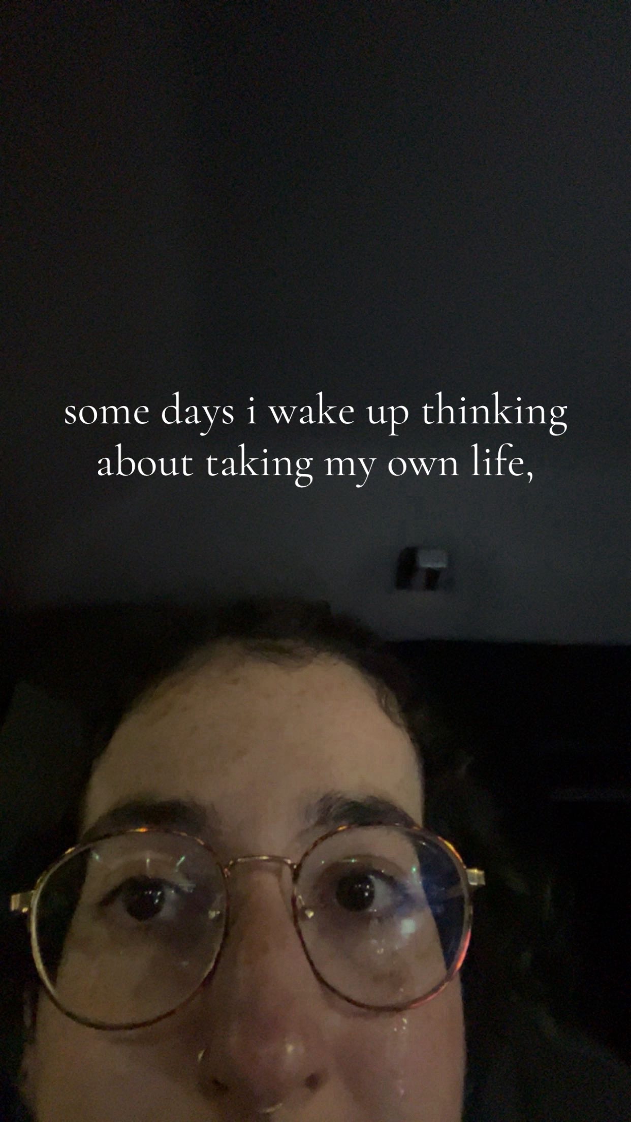 @allygatorville
