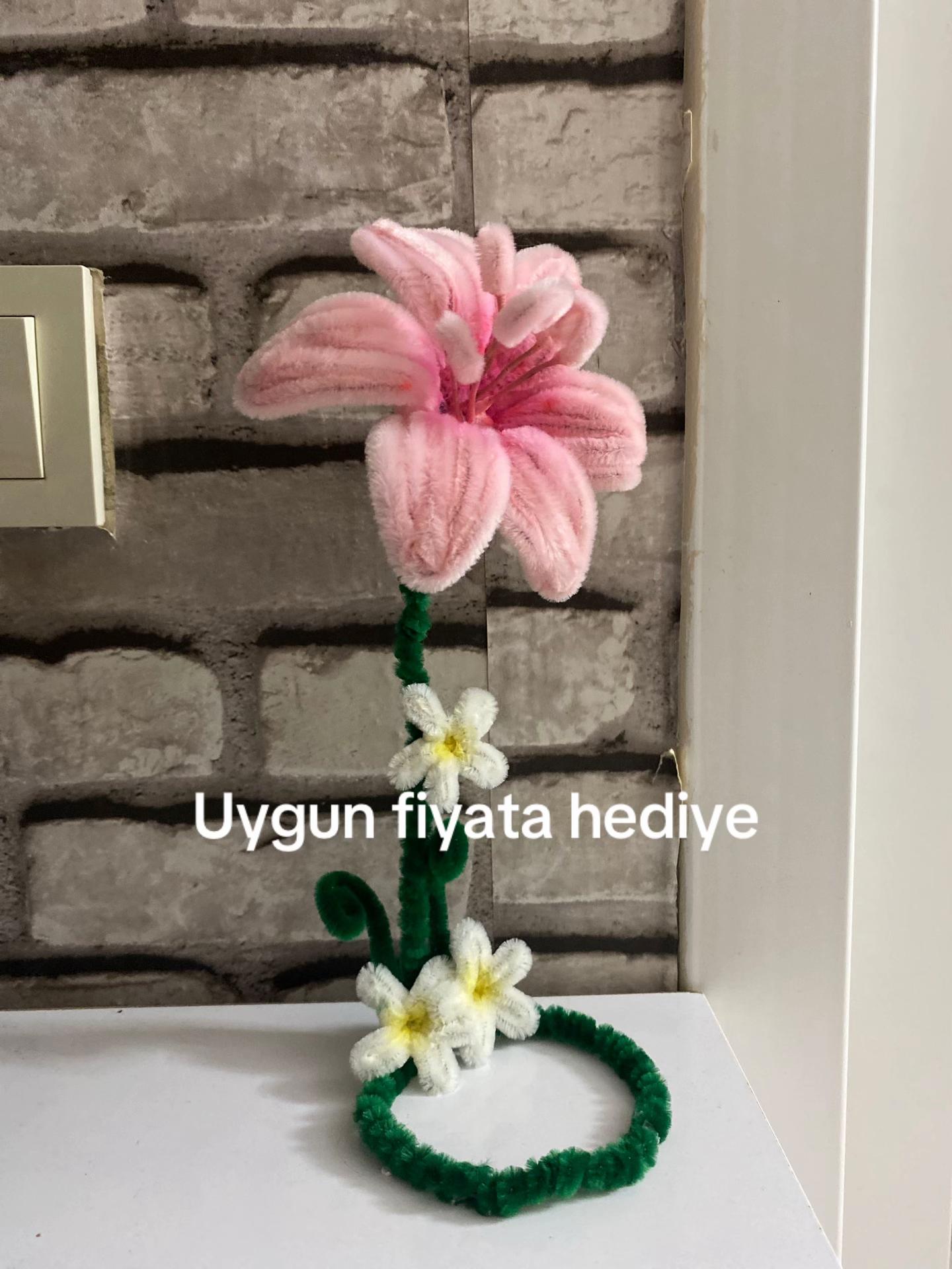 @hiloura