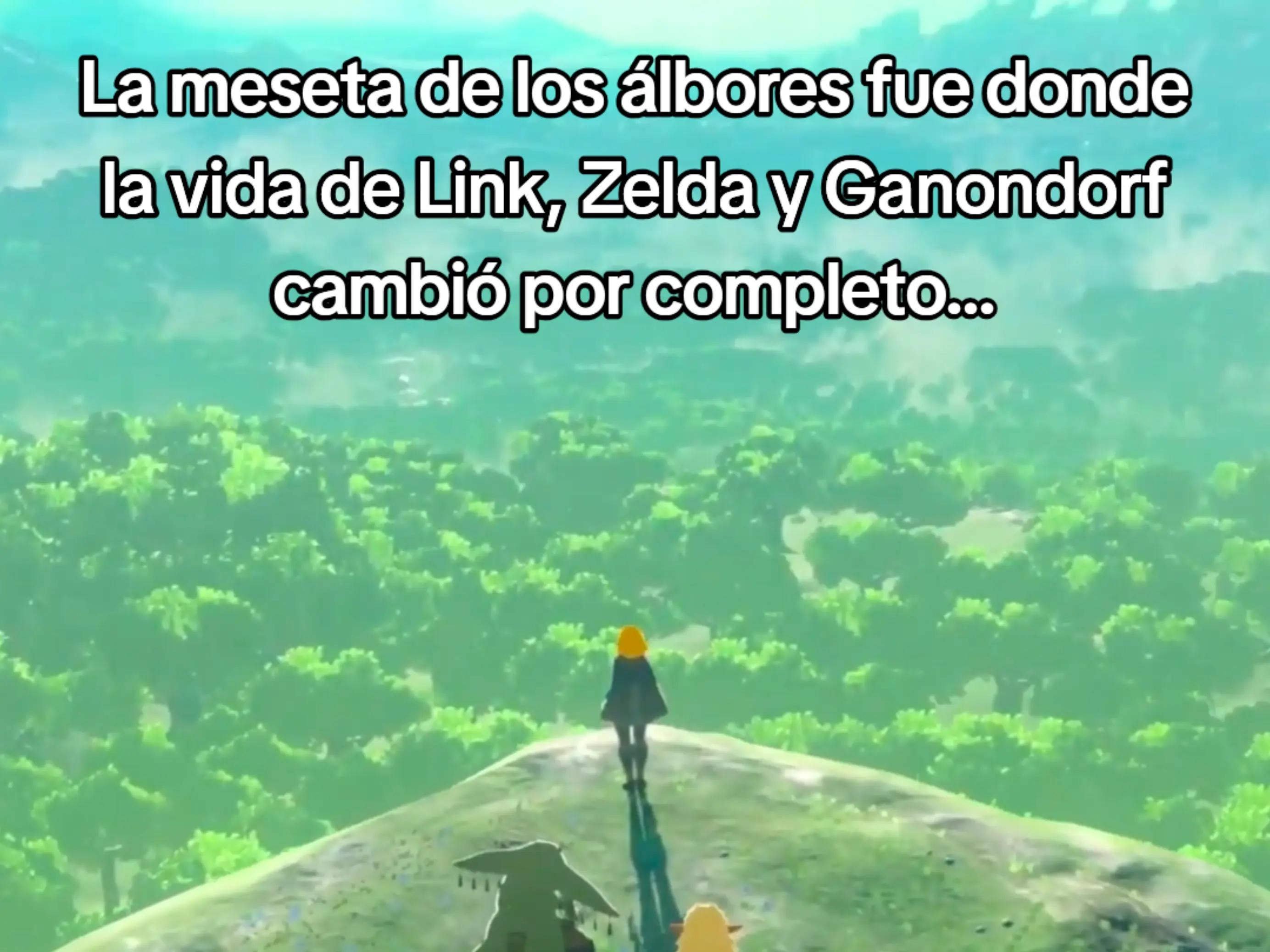 @Rinzler