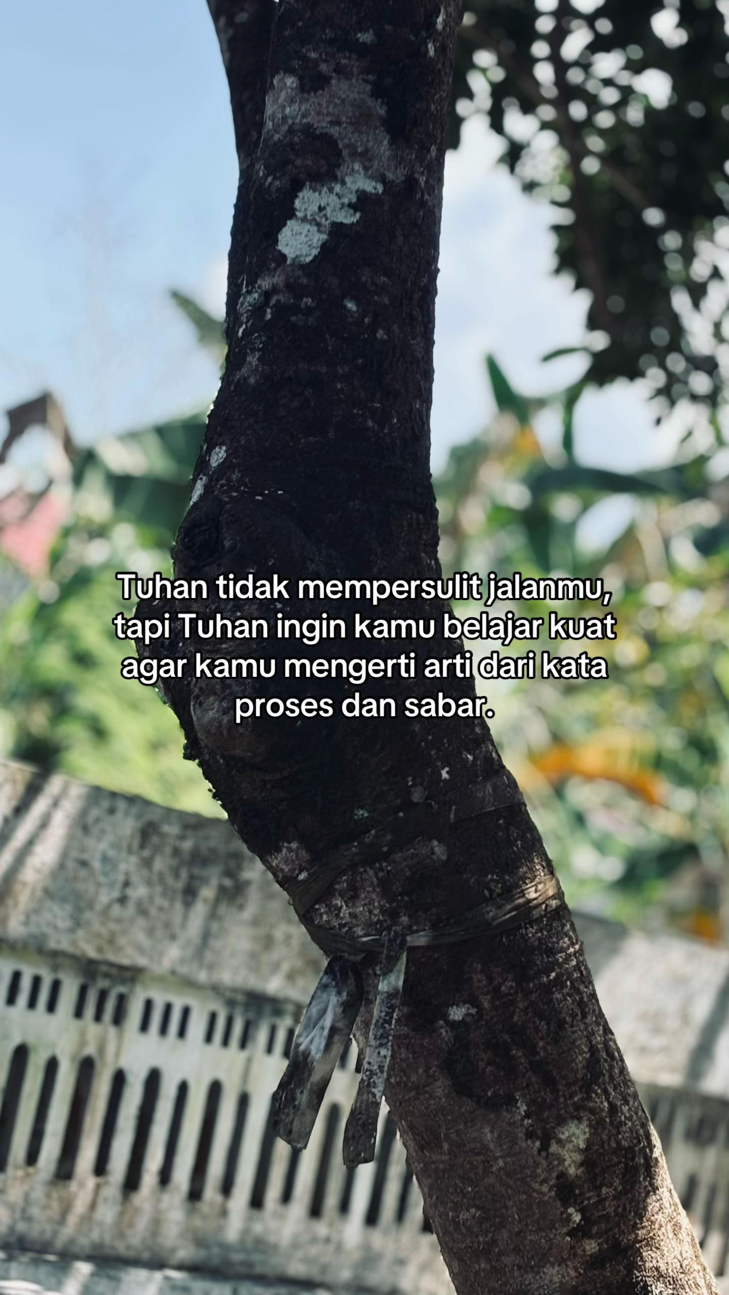 @𝙈𝙝𝙮𝙙𝙖𝙥𝙧𝙨𝙩𝙮_🪬