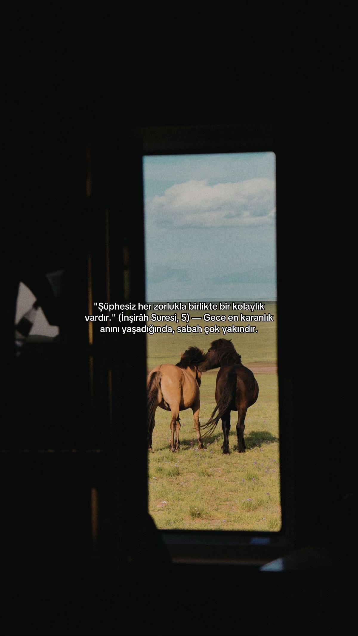 @☾