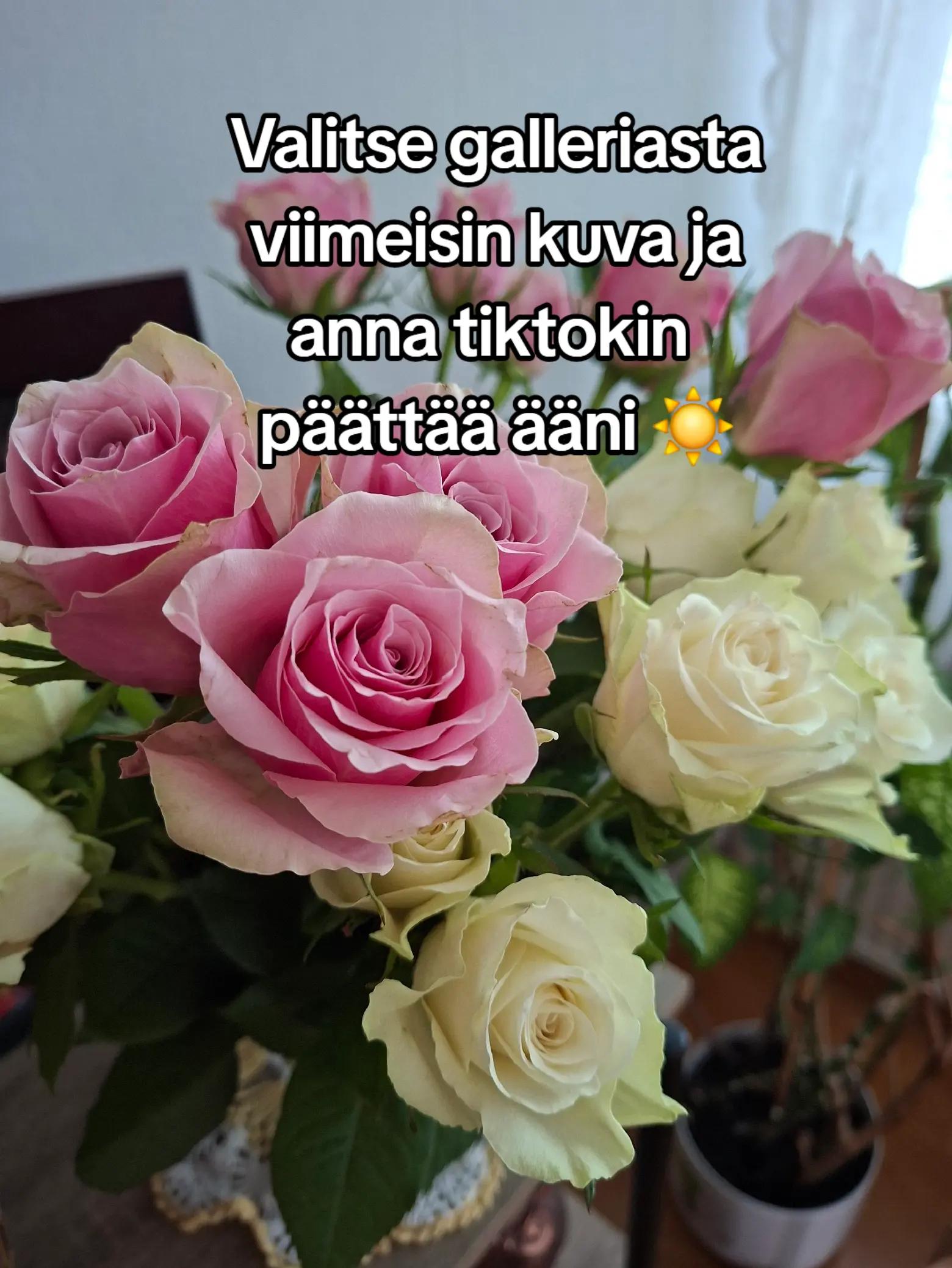 @Heidi Johanna 🫶