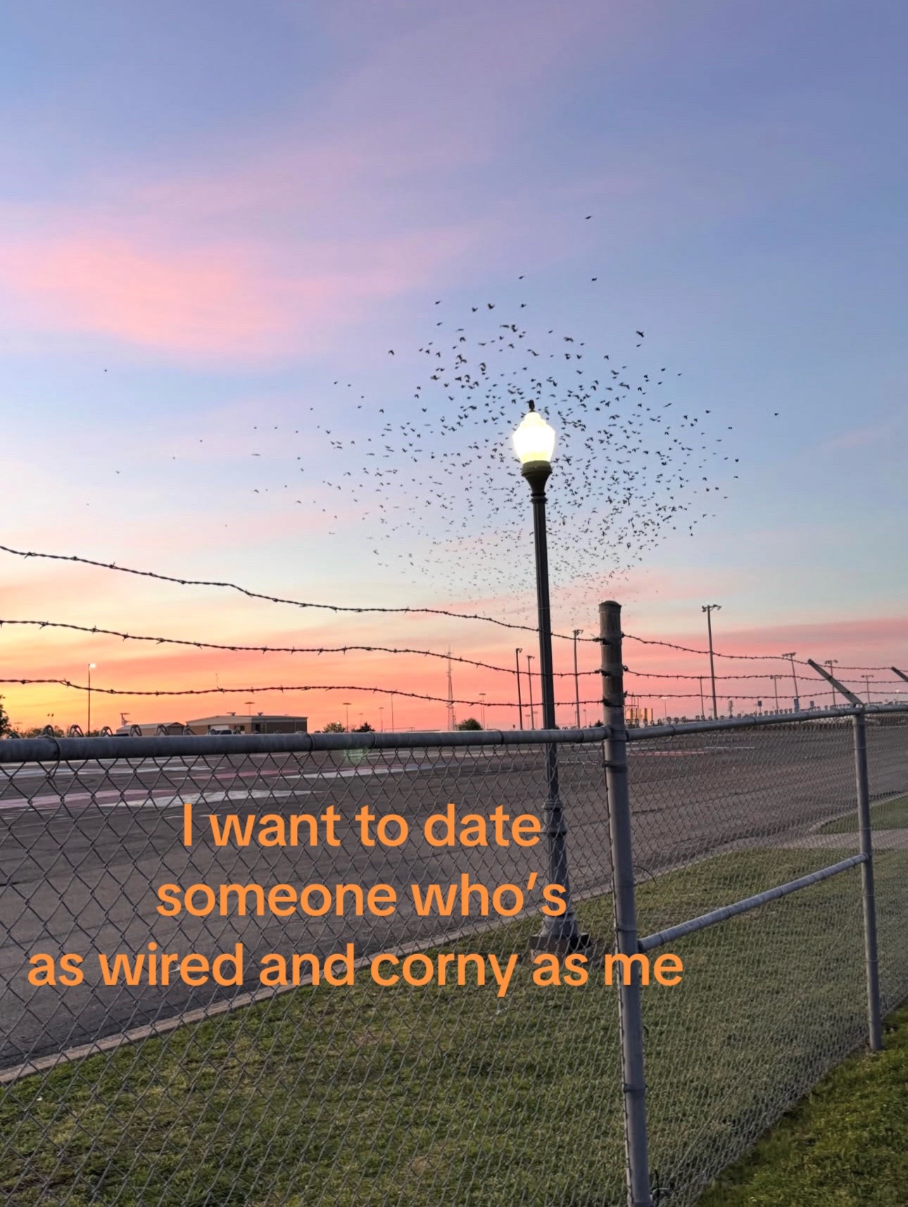 @Dillon