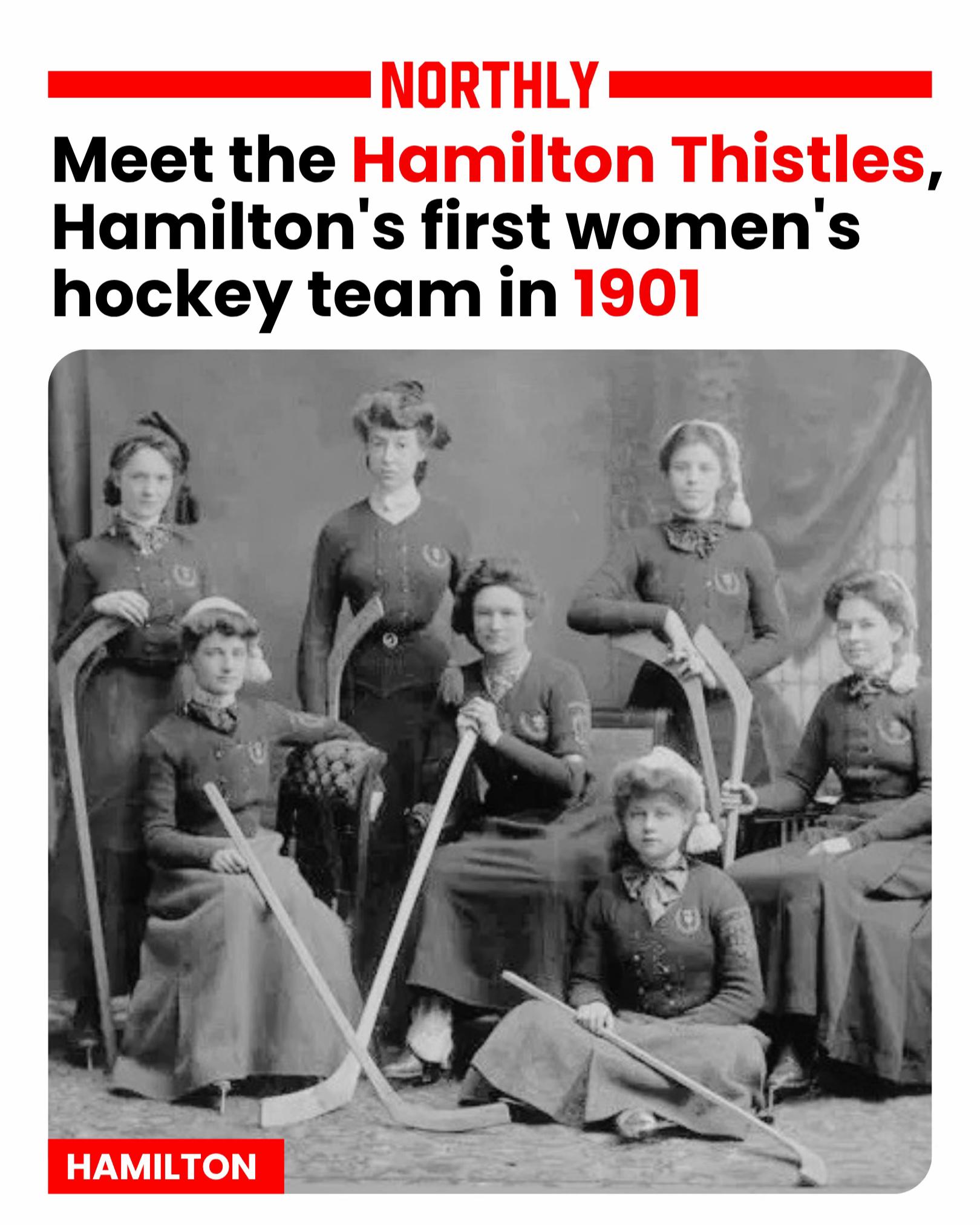 @Northly Hamilton