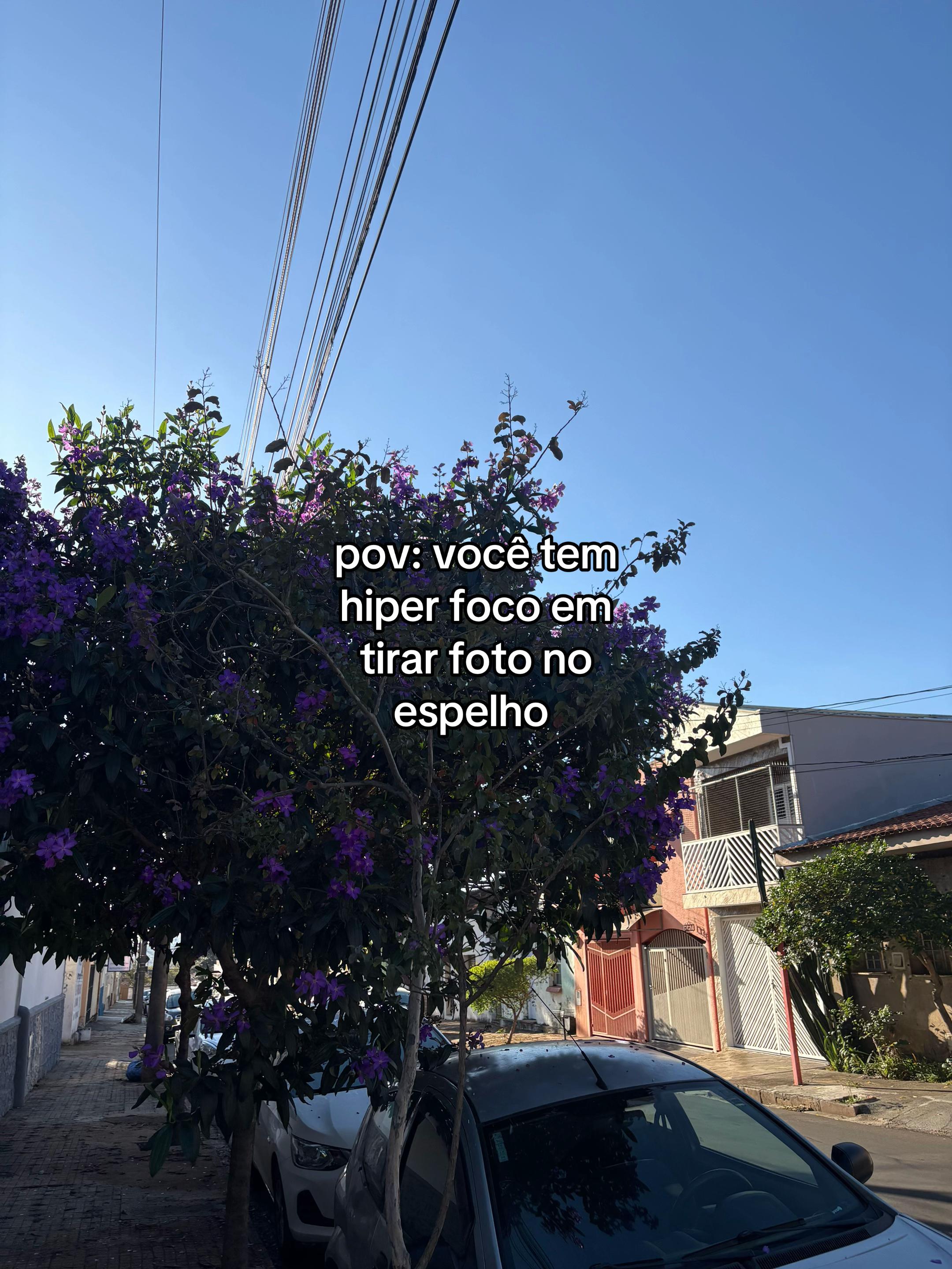 @Paola Campagna