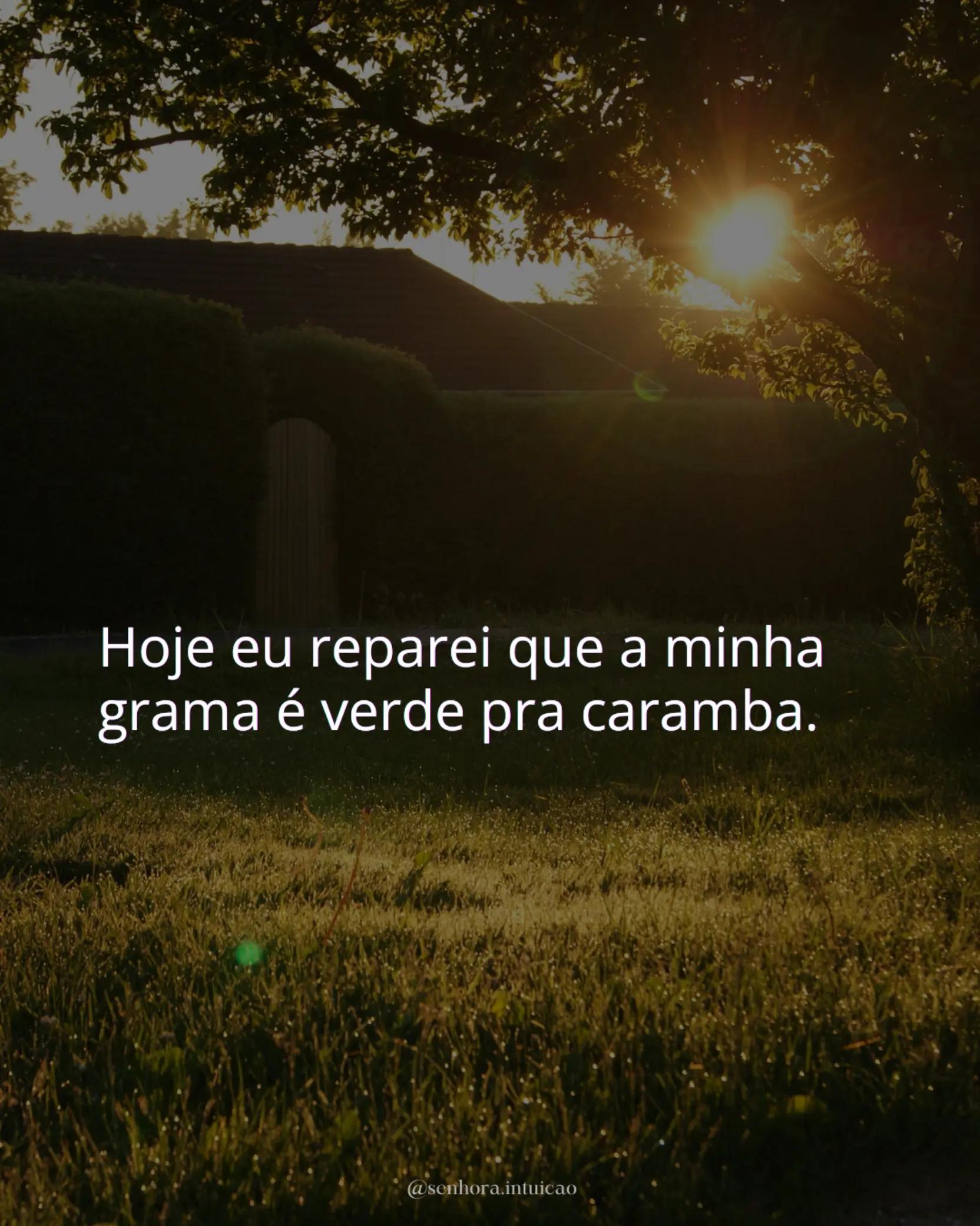 @Sra Intui&ccedil;&atilde;o ✨️