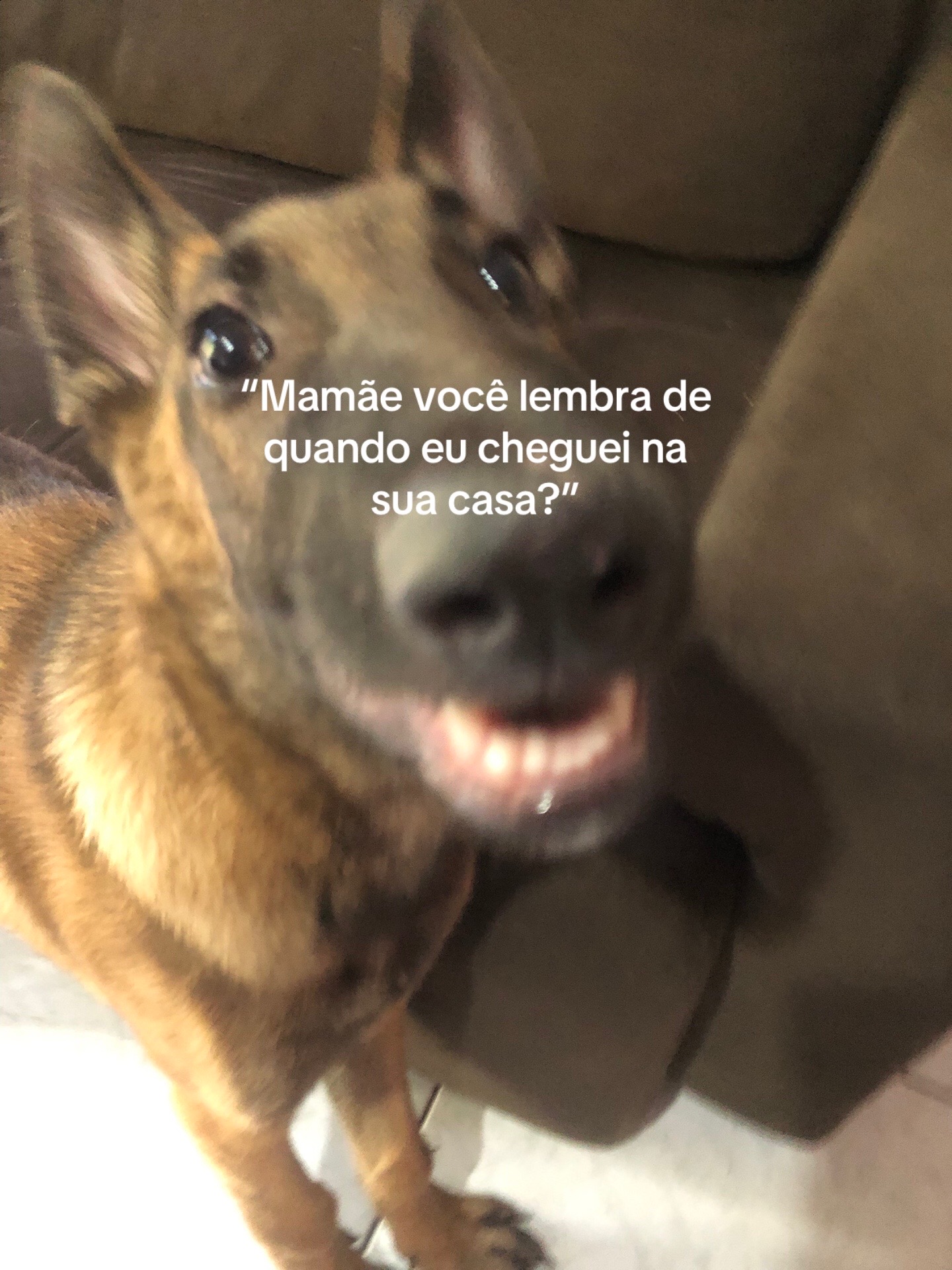 @Pᥱ́r᥆ᥣᥲ ᥱ ᥴᥲ&rho;&iota;tᥲ̃᥆