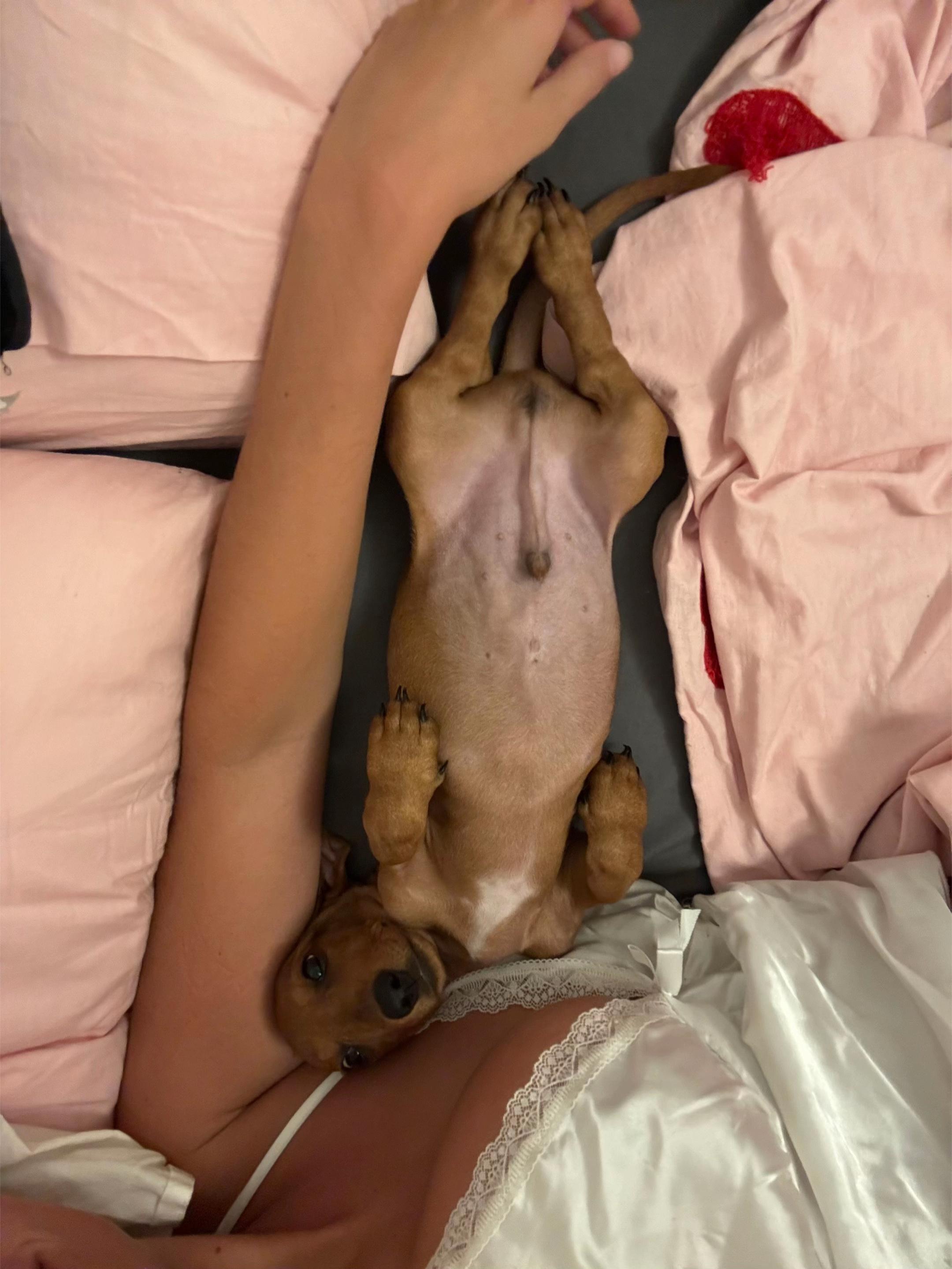 @lu