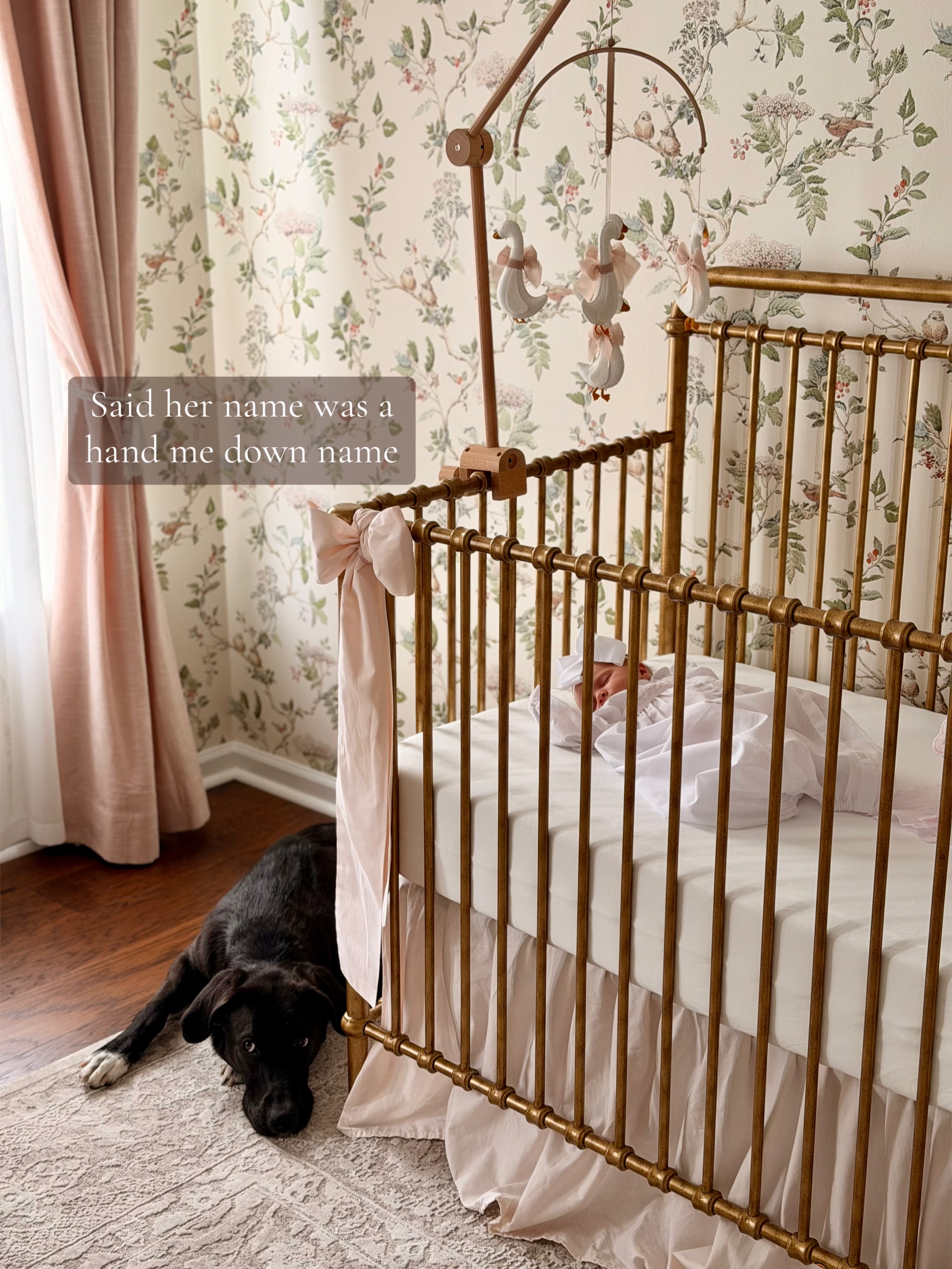 @Alexandra