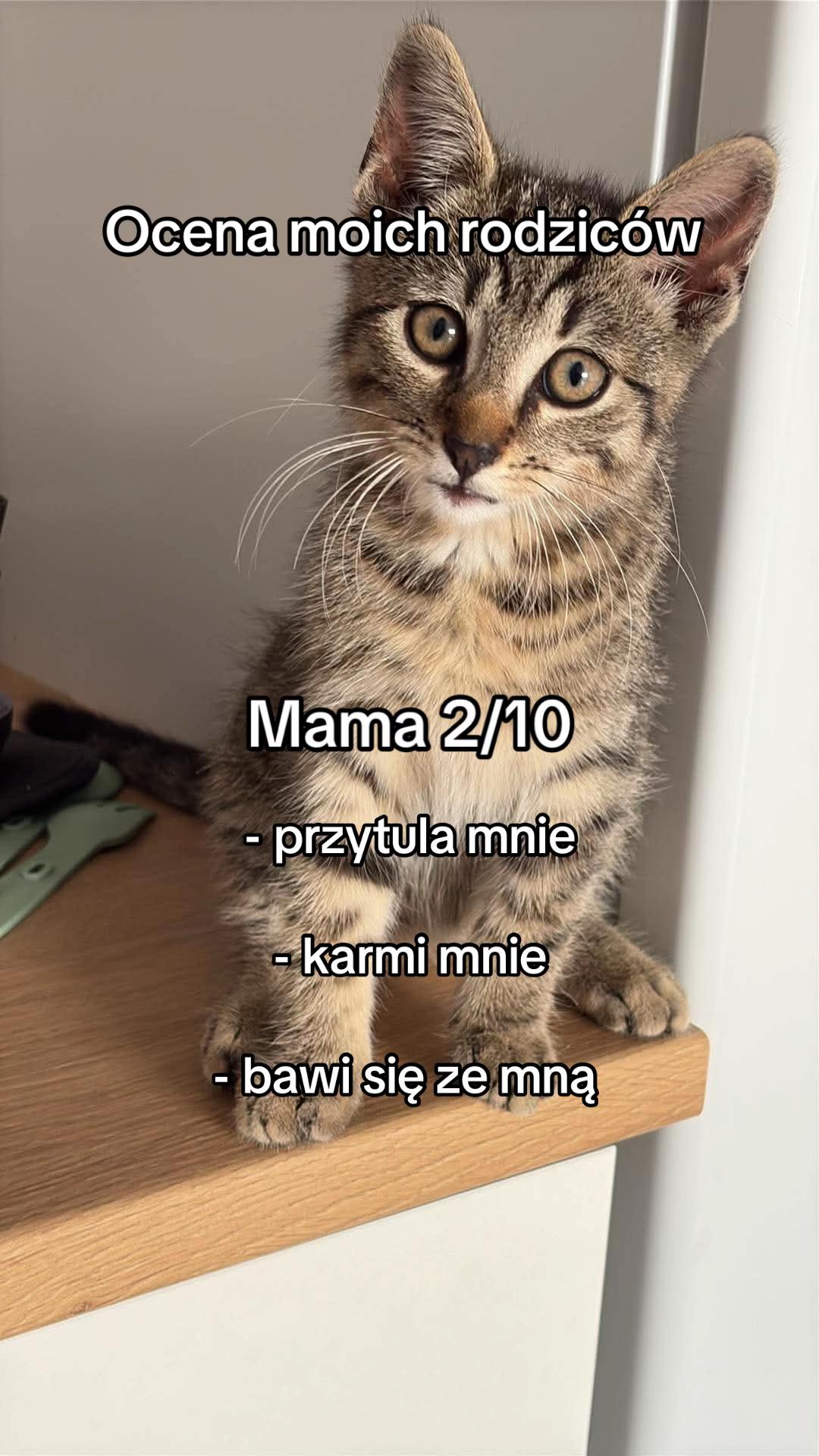 @pan_pyzek