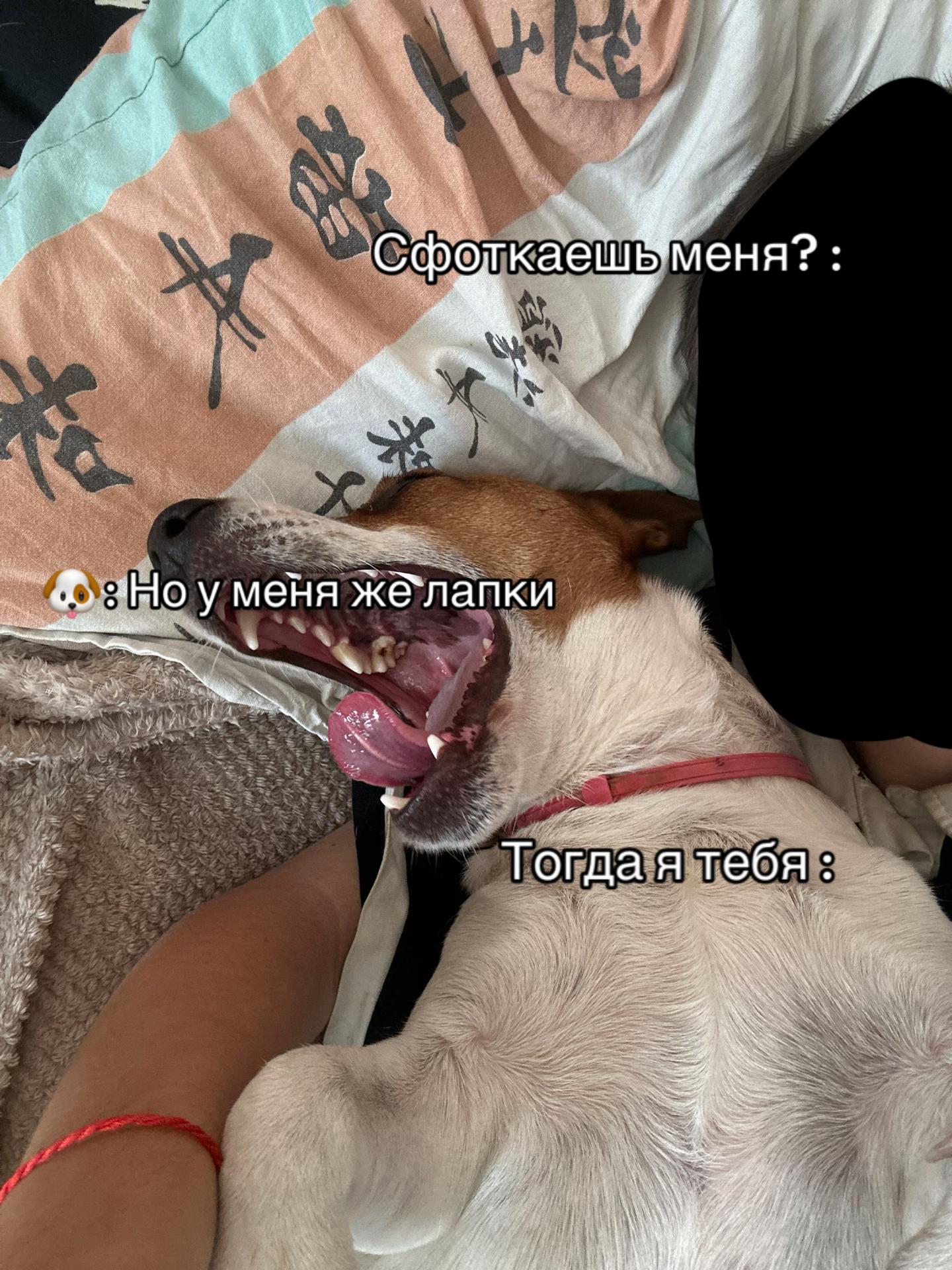 @Progavodka69