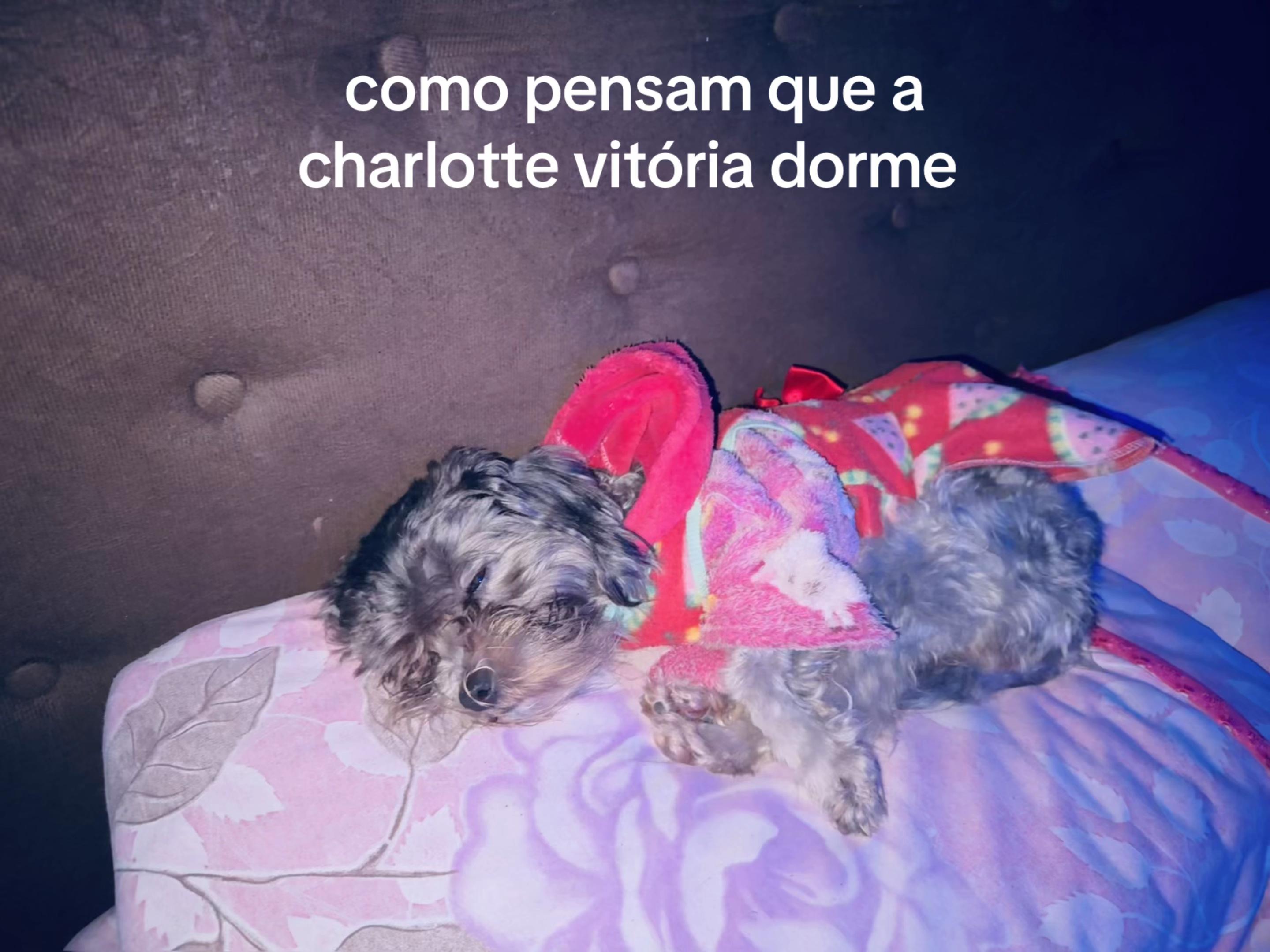 @poxa é a vitória 👎🏽