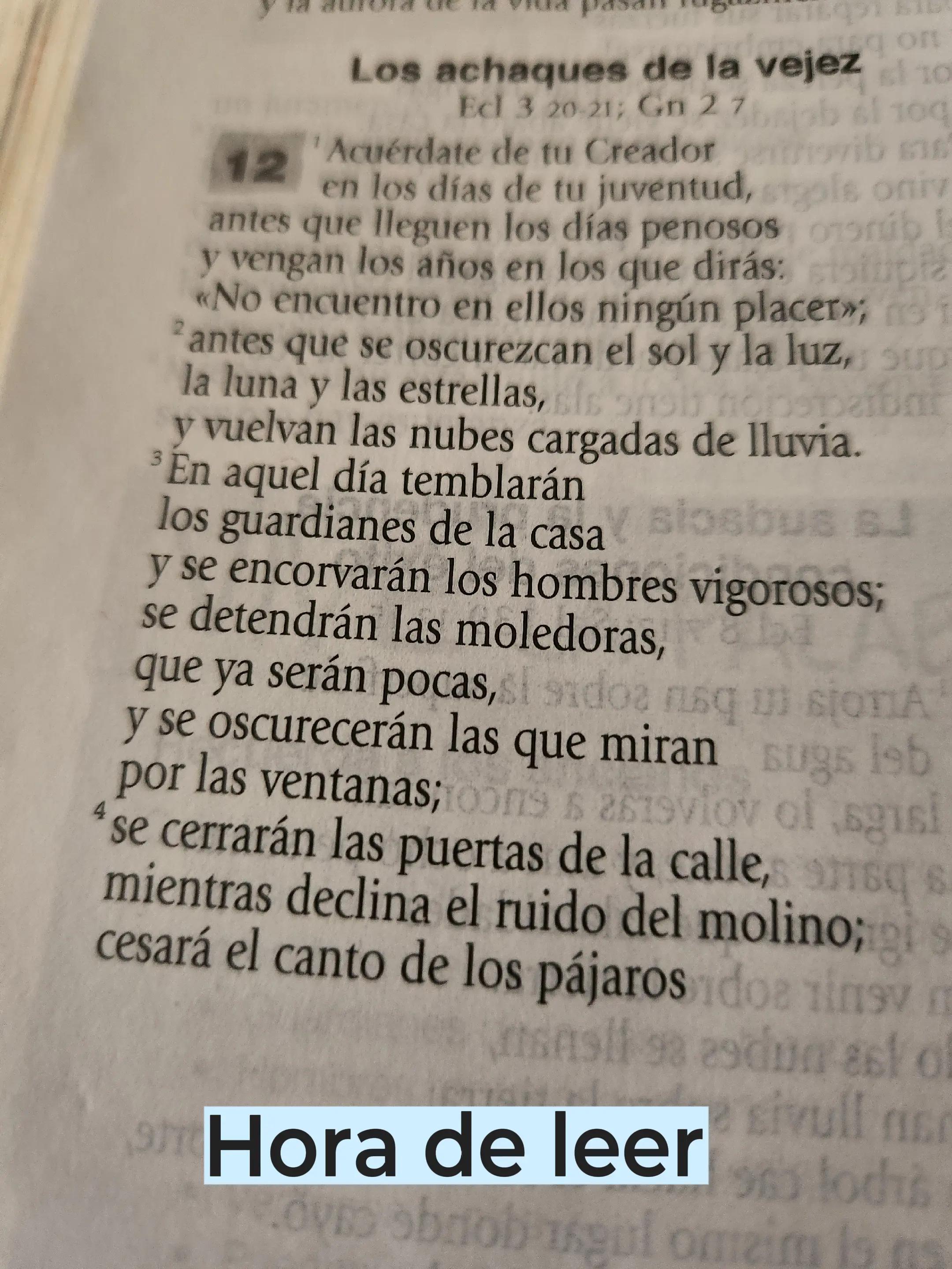 @🍀🏞Rosaura Aparicio 🦁🦁