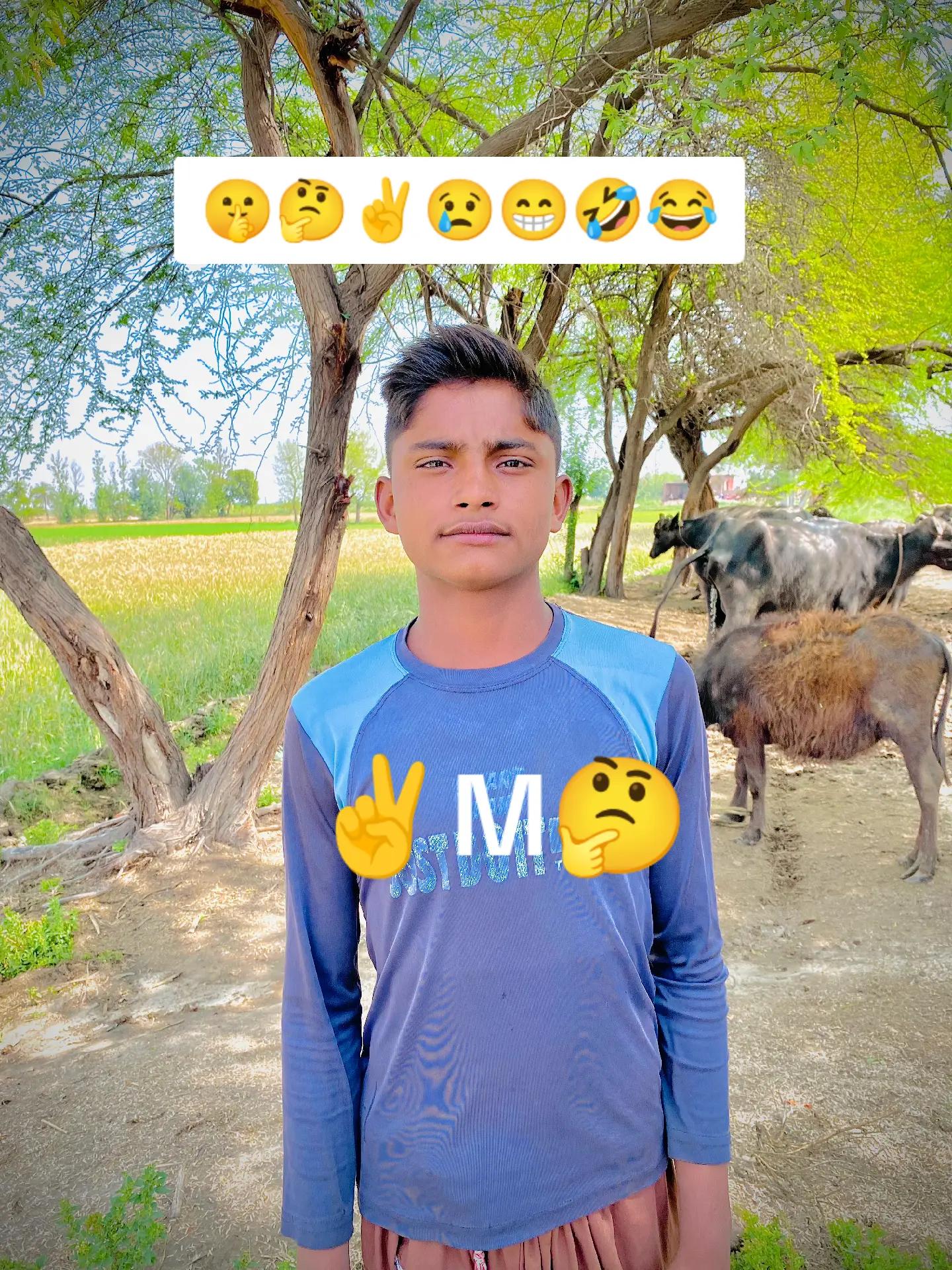 @MazharAli Bhatti 295