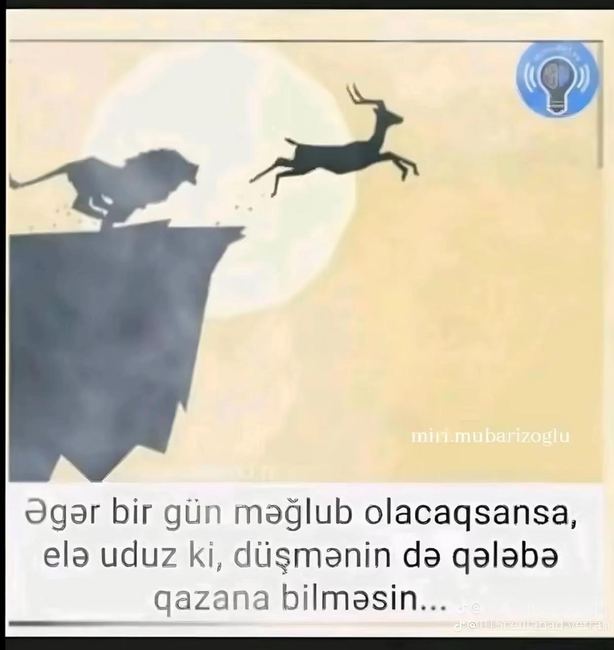@Nur Şahgəldi
