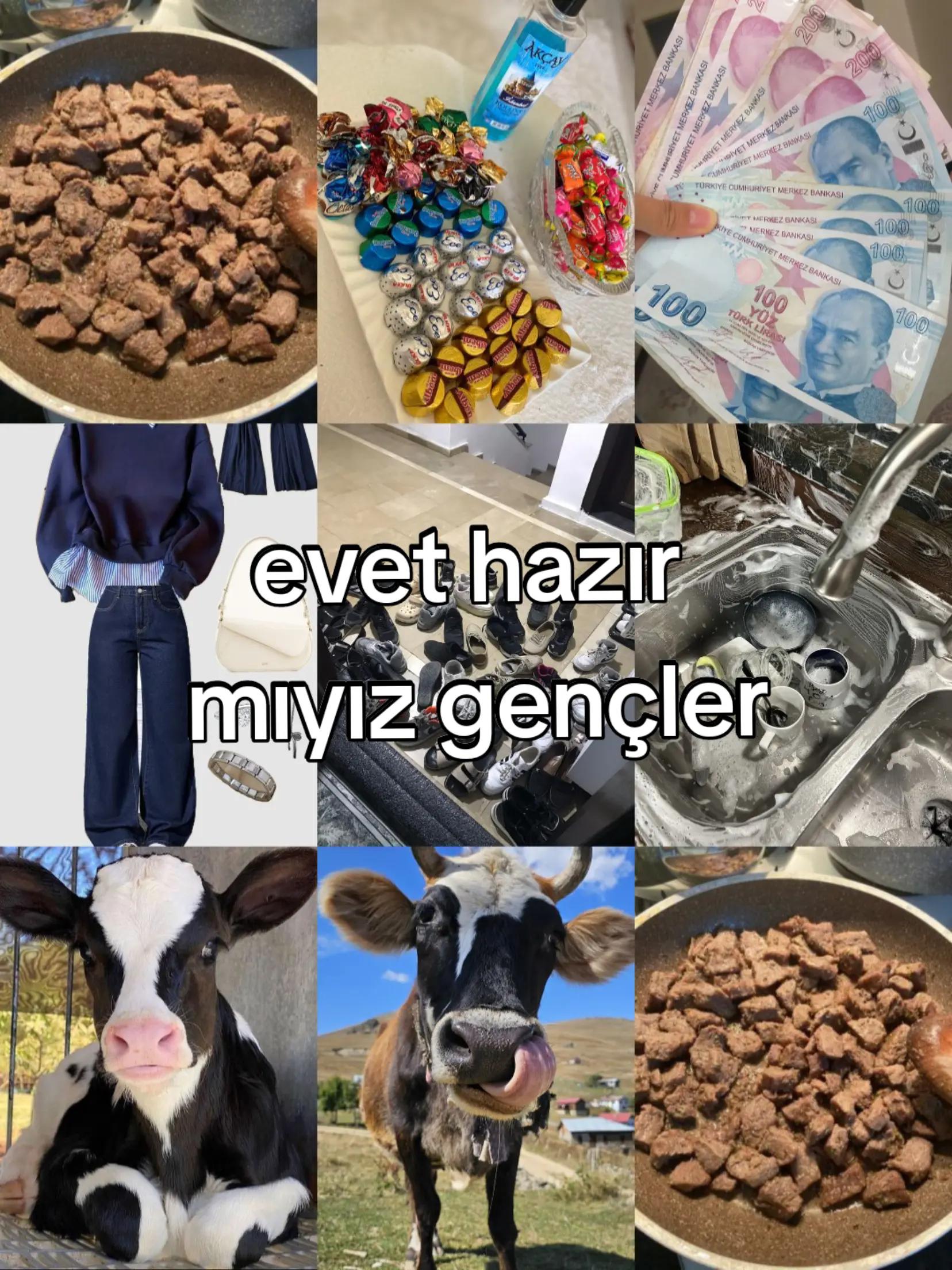 @ayswnr