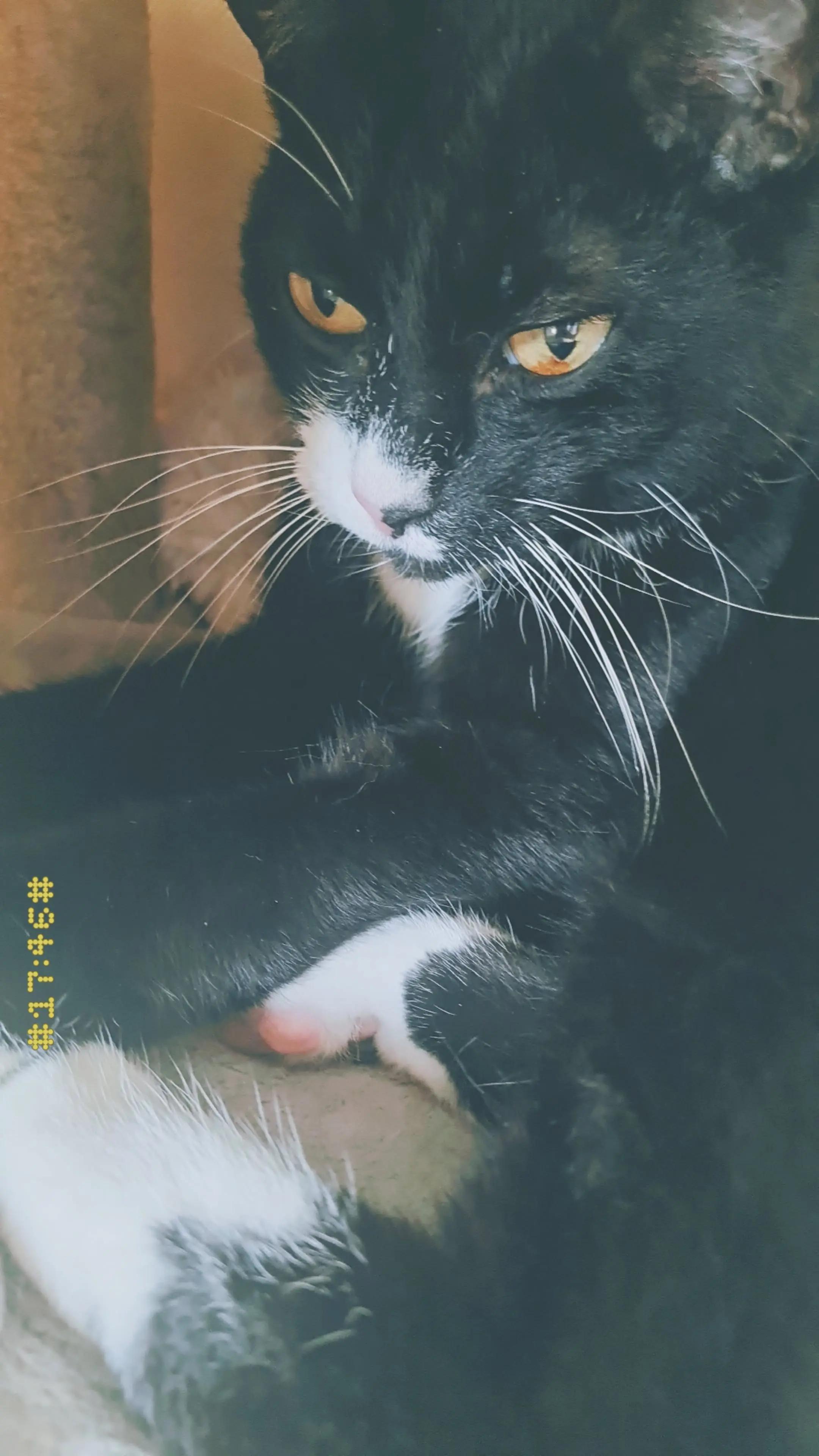 @๐ ๐ฎ ๐ข ๐ฌ ๐’๐ด๐งโ๏ธ