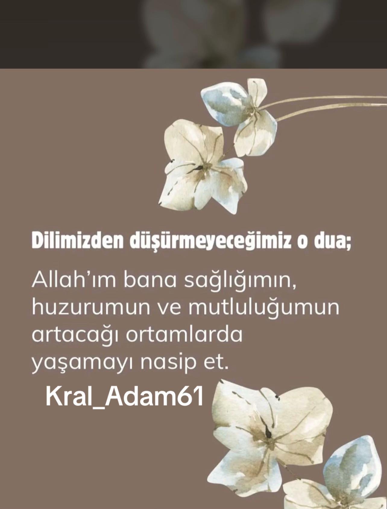 @erdal.akyasan.61
