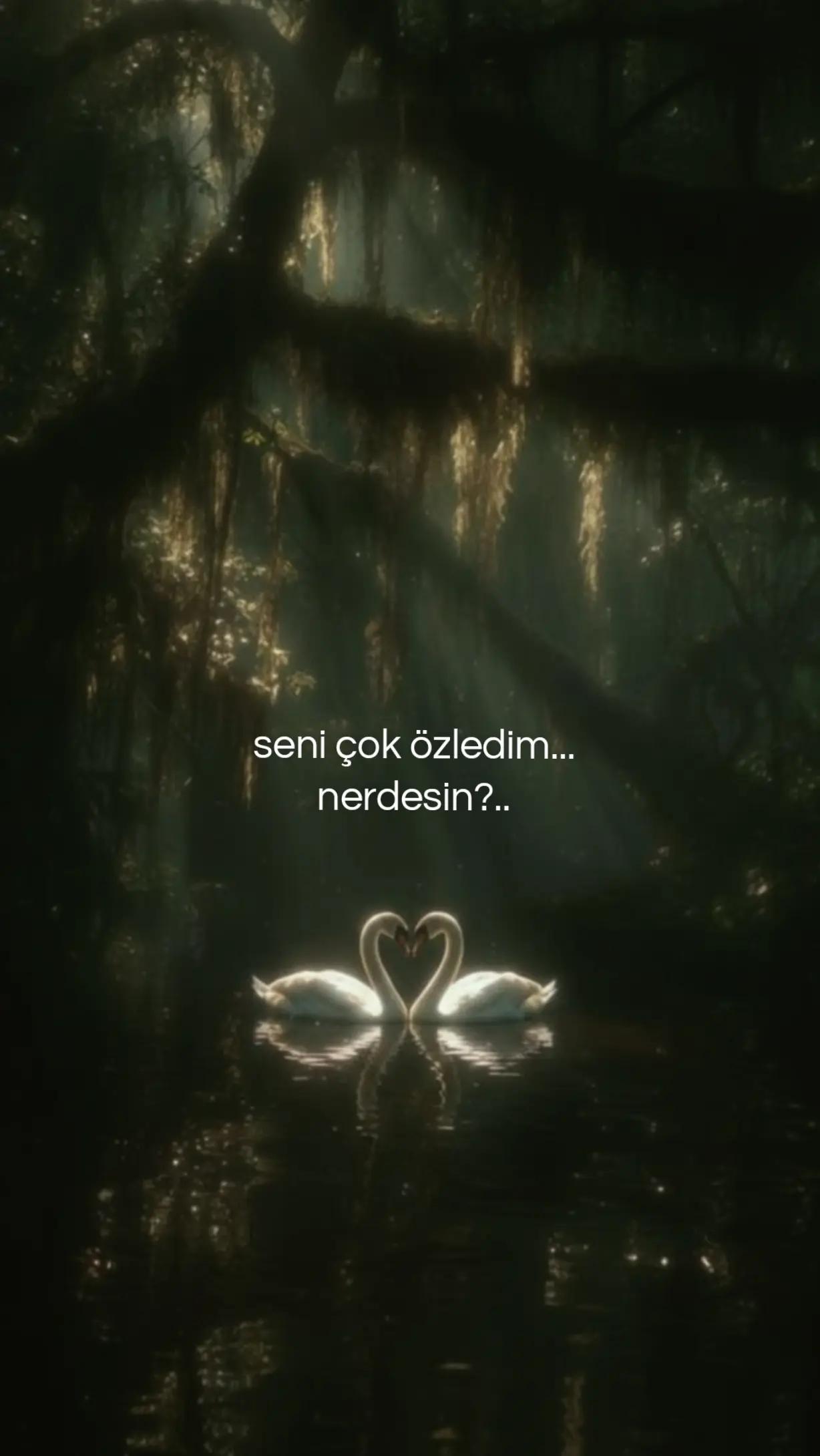 @Feryâd-ı Hâmûş;