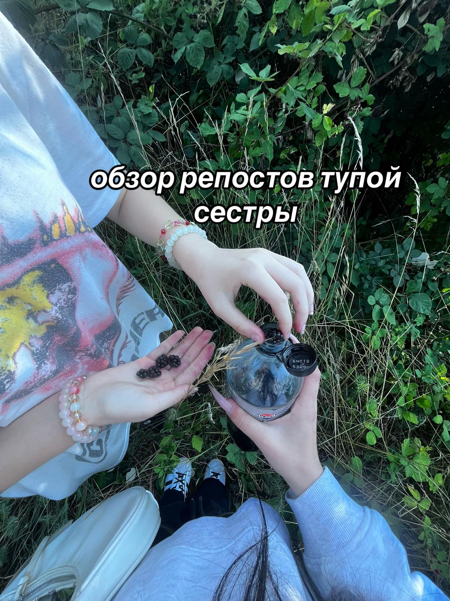 @тимофей го встр