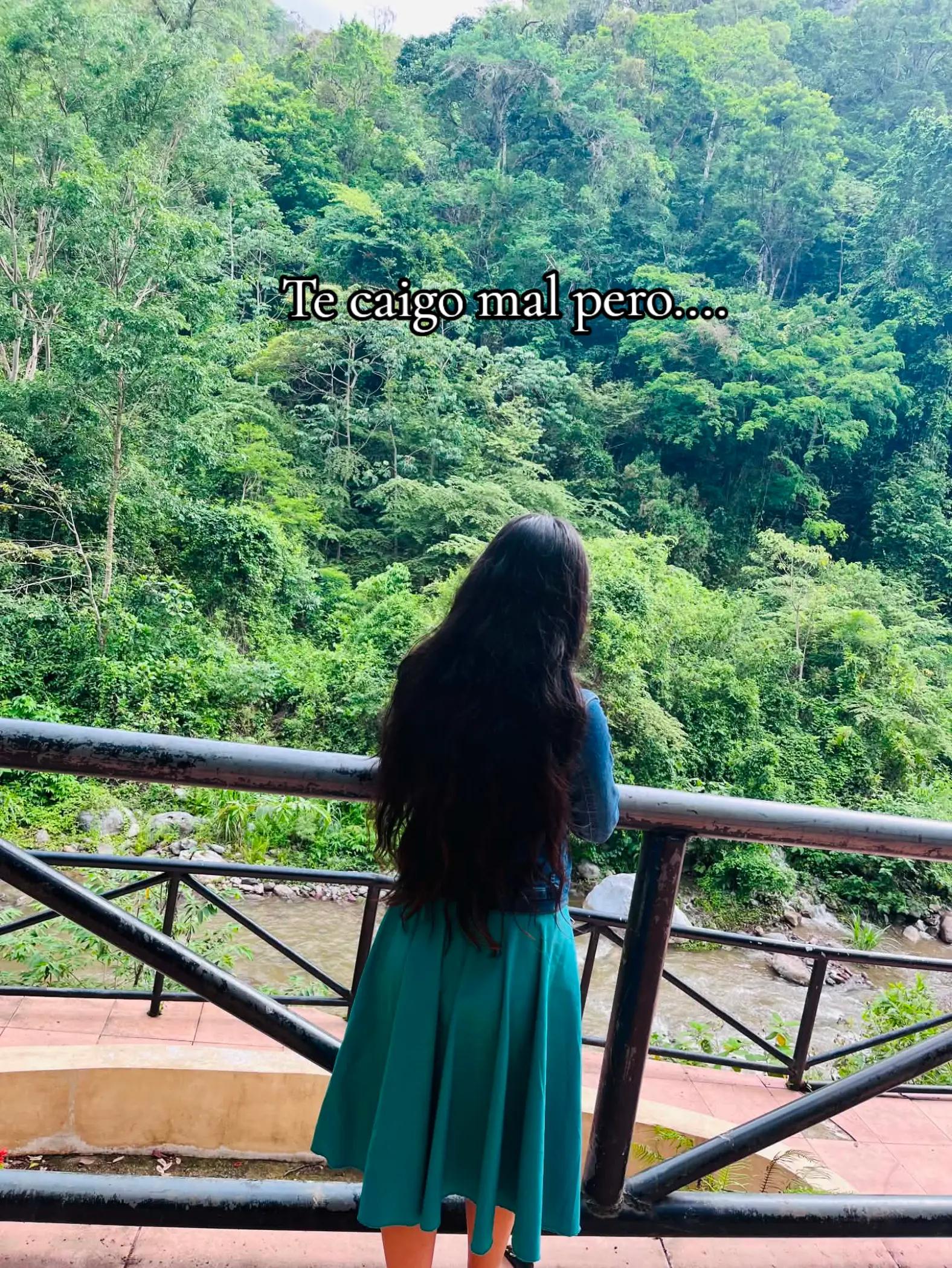 @Yohary🧡😽!!