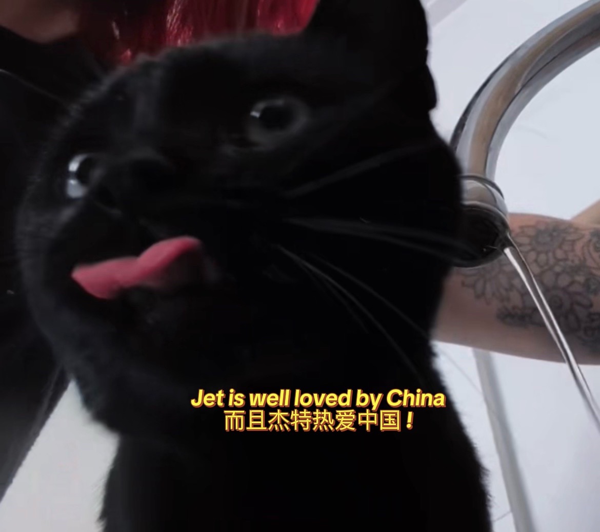 @Bee