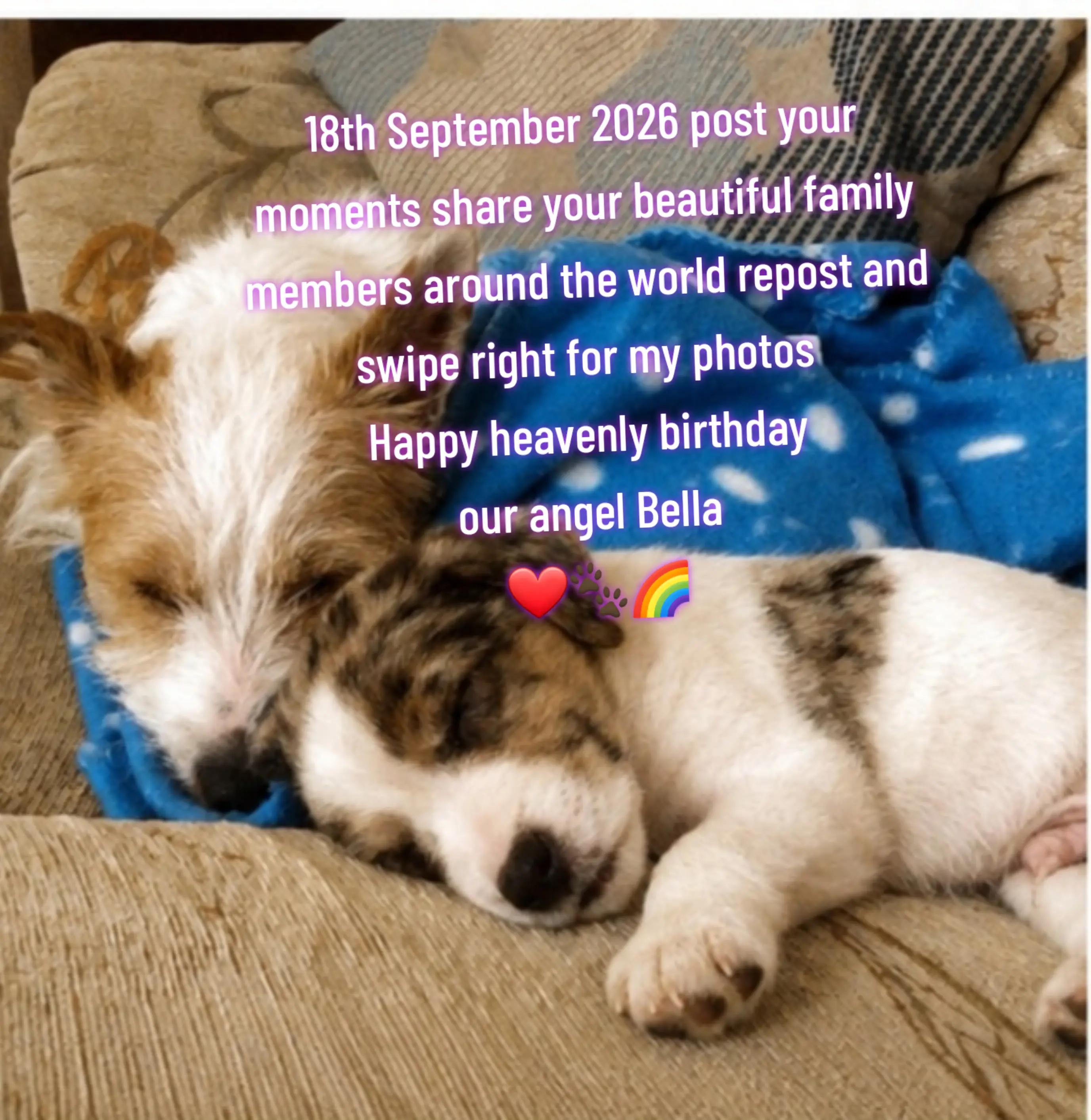 @claire🌈BellaBertErnie💙T&D