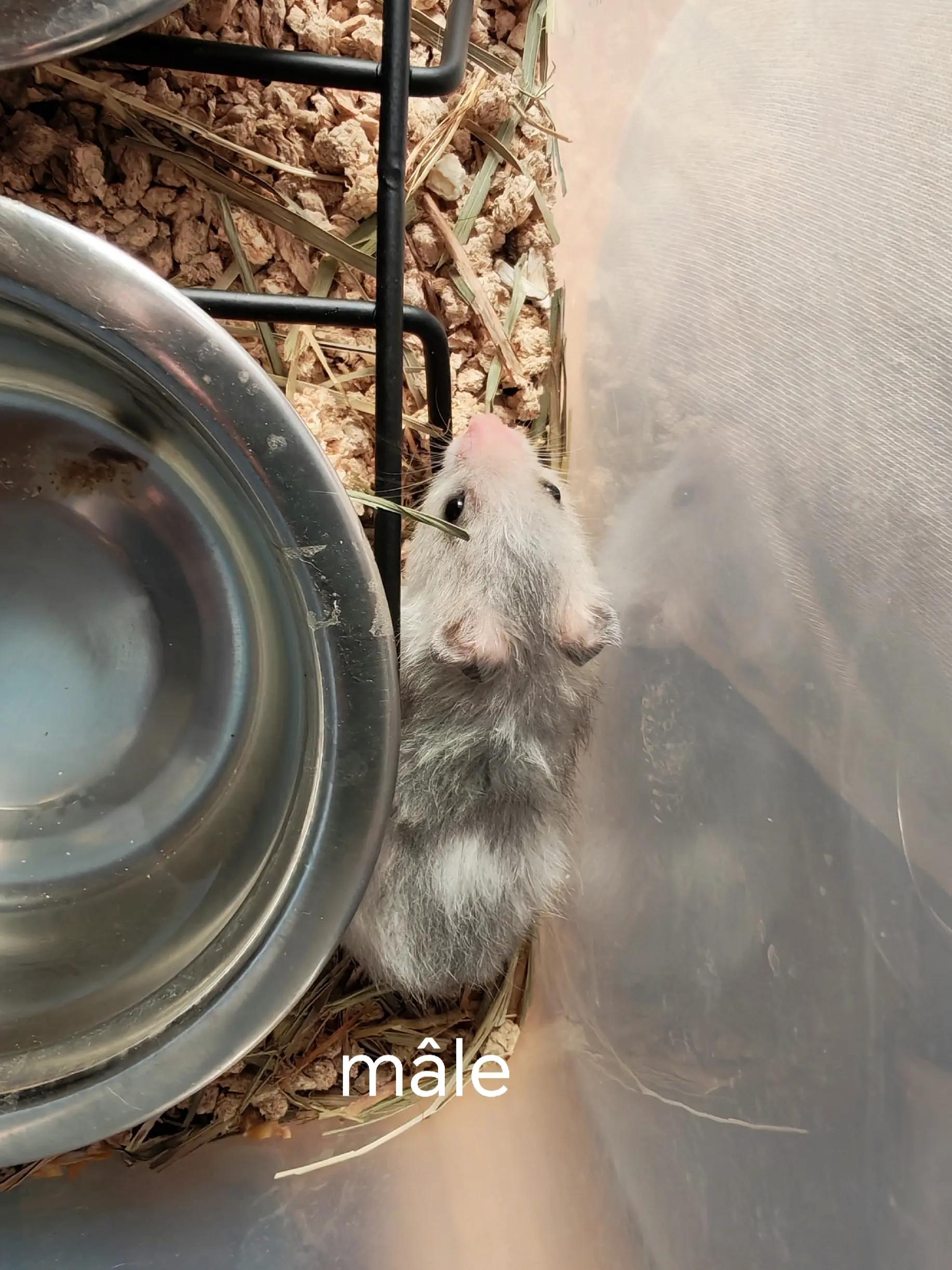 @Animal Passion