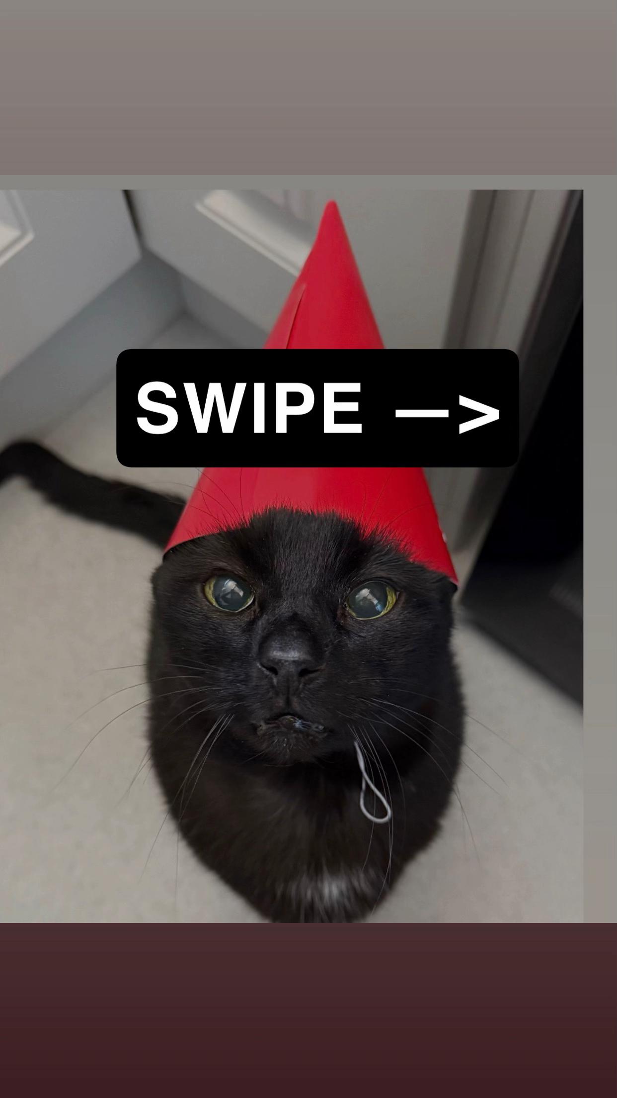 @Teefie_tribe 🐈⬛🐈⬛🐈🦷🦷
