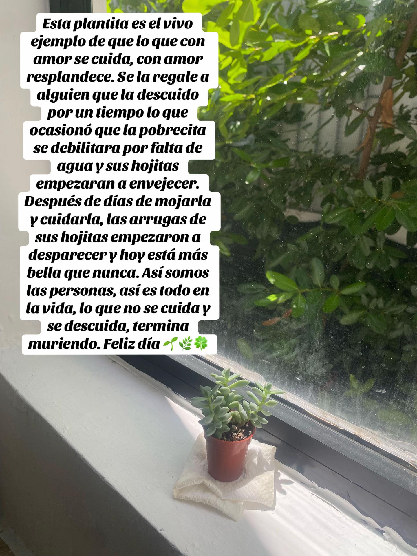 @soloseviveunavez9102