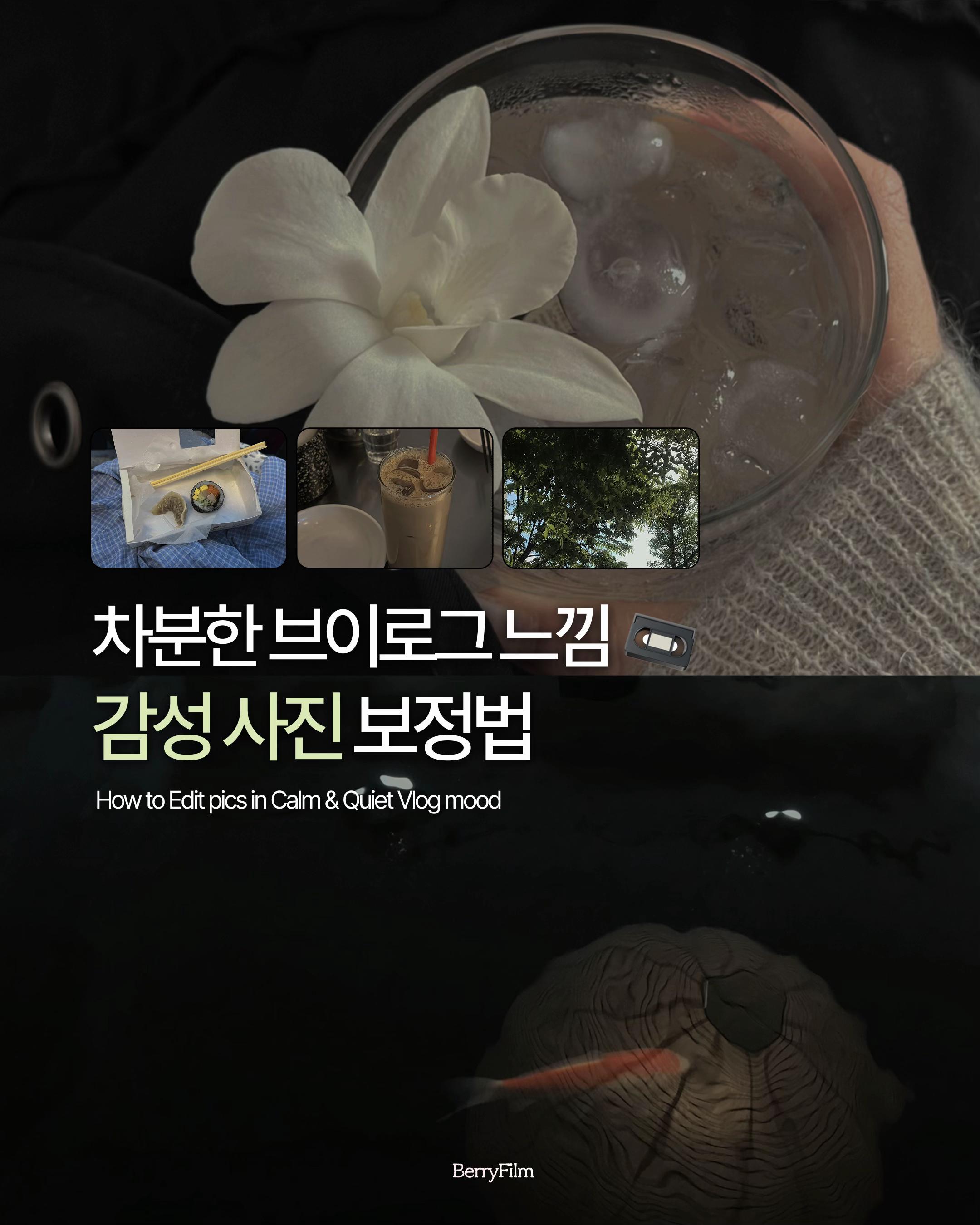 @베리 ベリ🪄