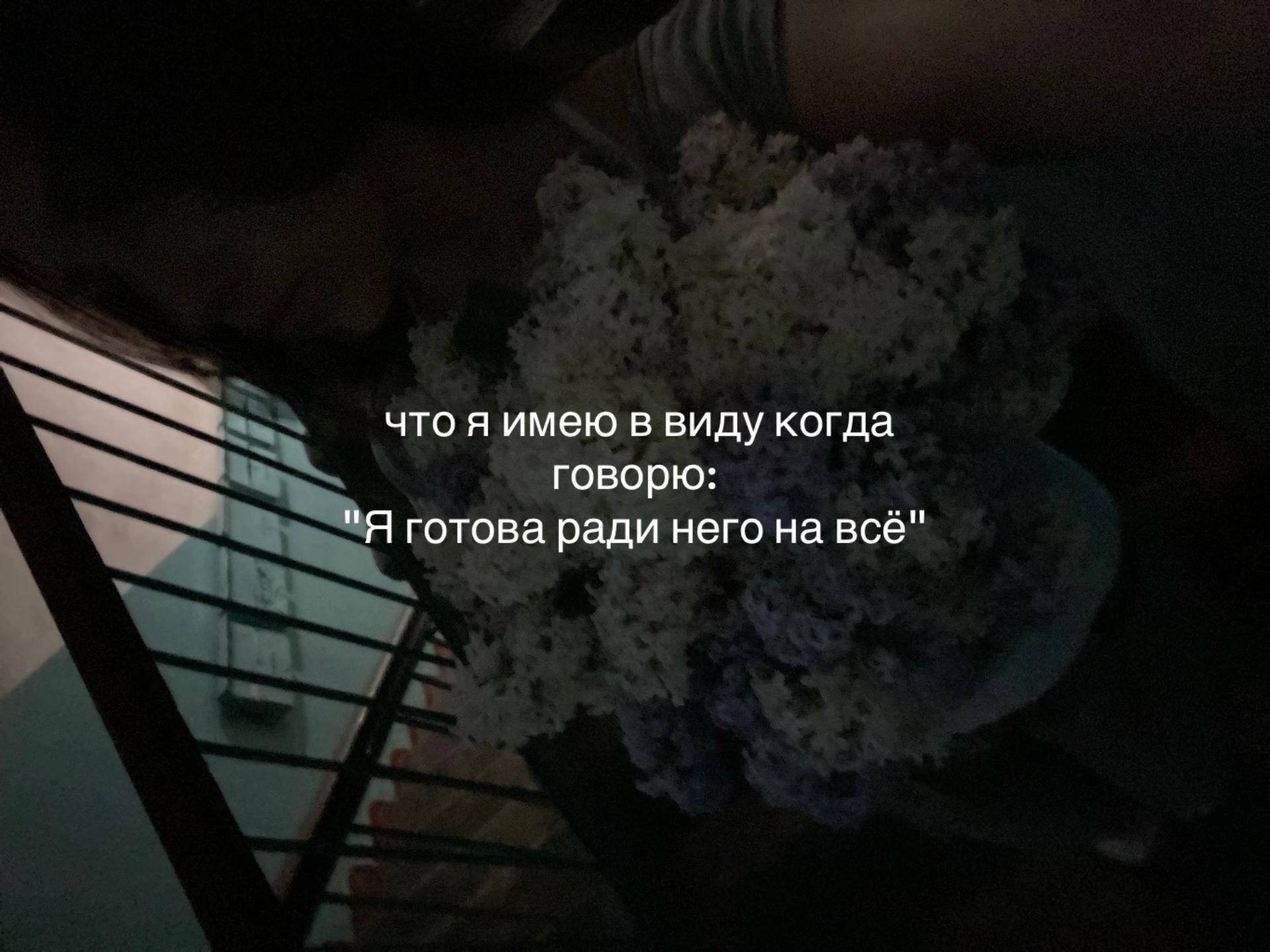 @дашкаа_🪽