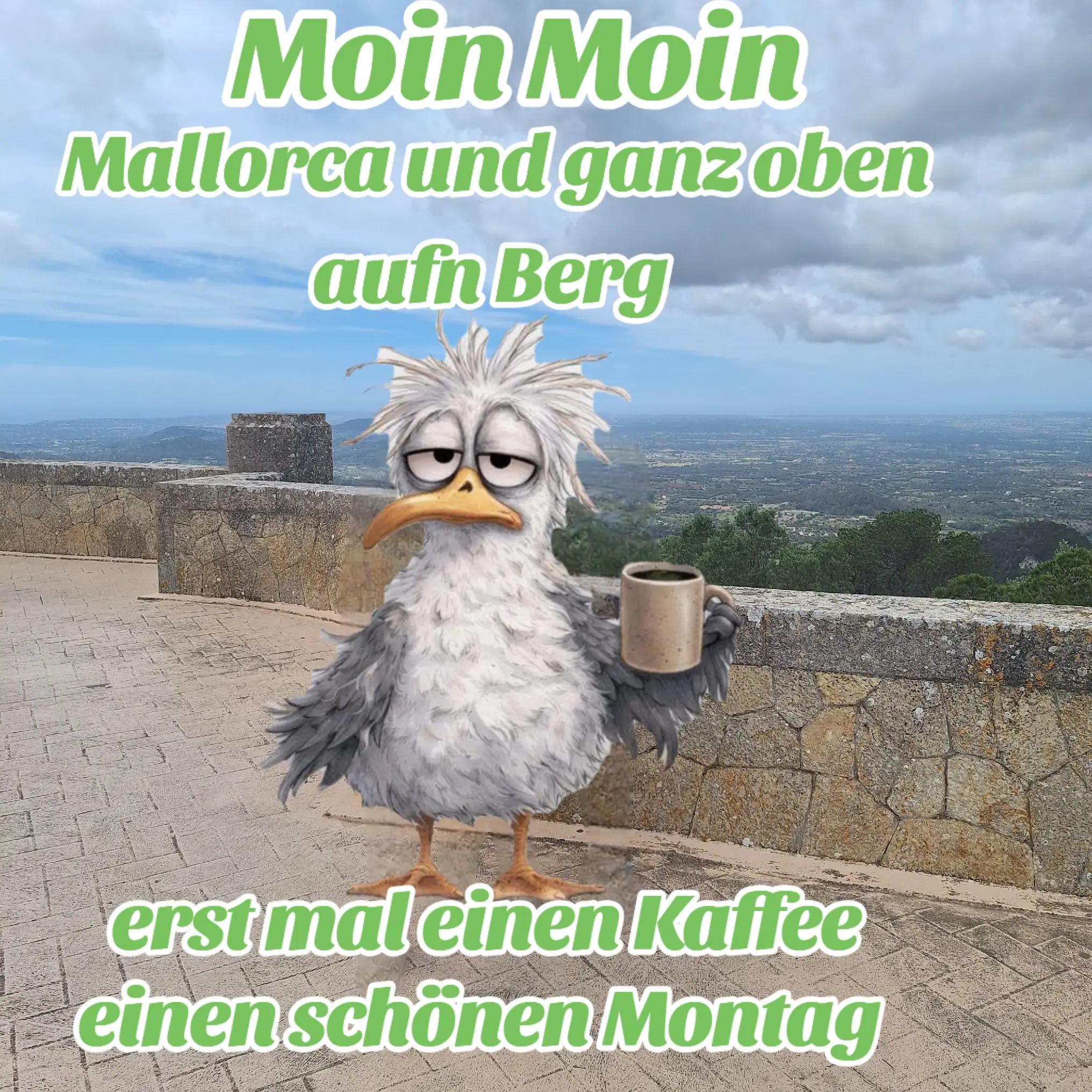 @geistlein12